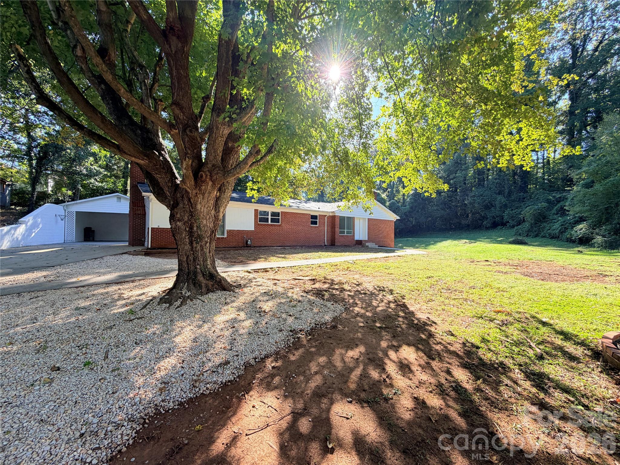 113 Ann Street Property Photo 2