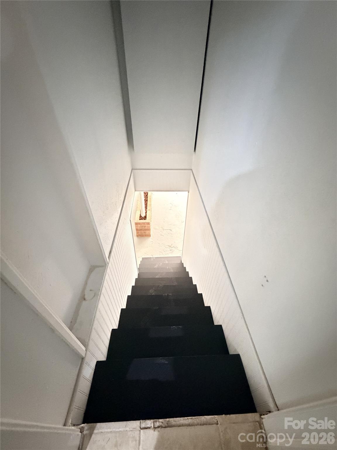 113 Ann Street Property Photo 22