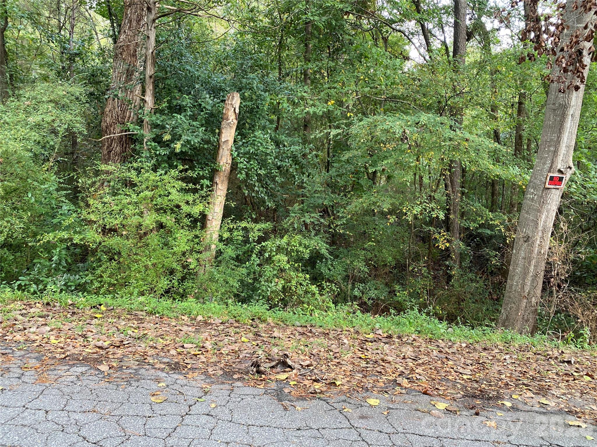 0 Slayton Street Property Photo 1