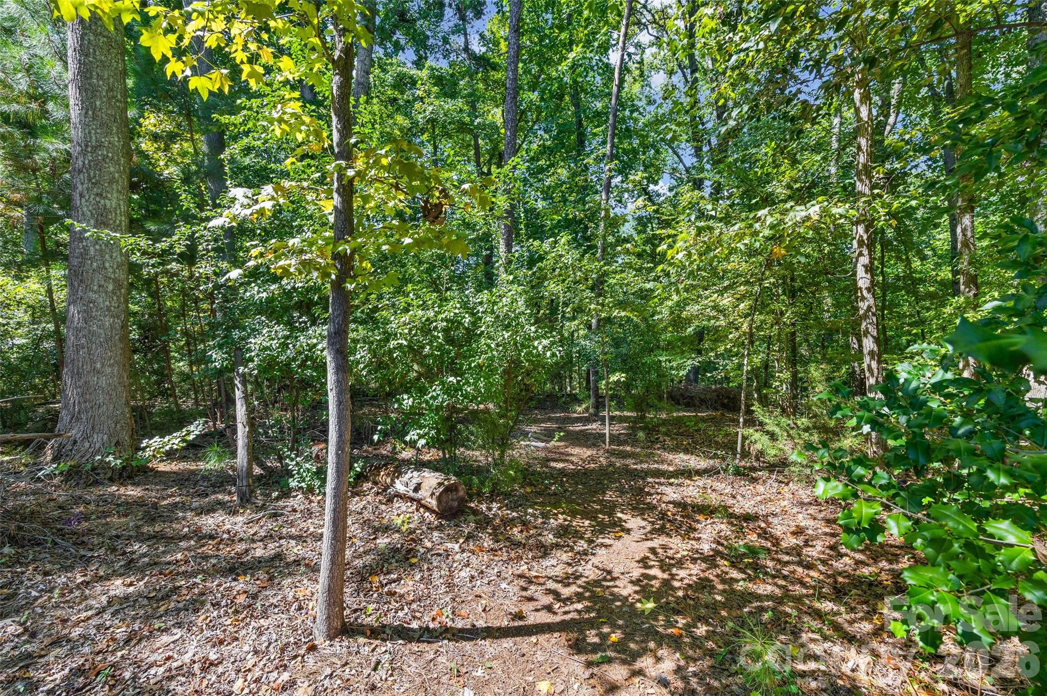 519 Sandbar Point Property Photo 40