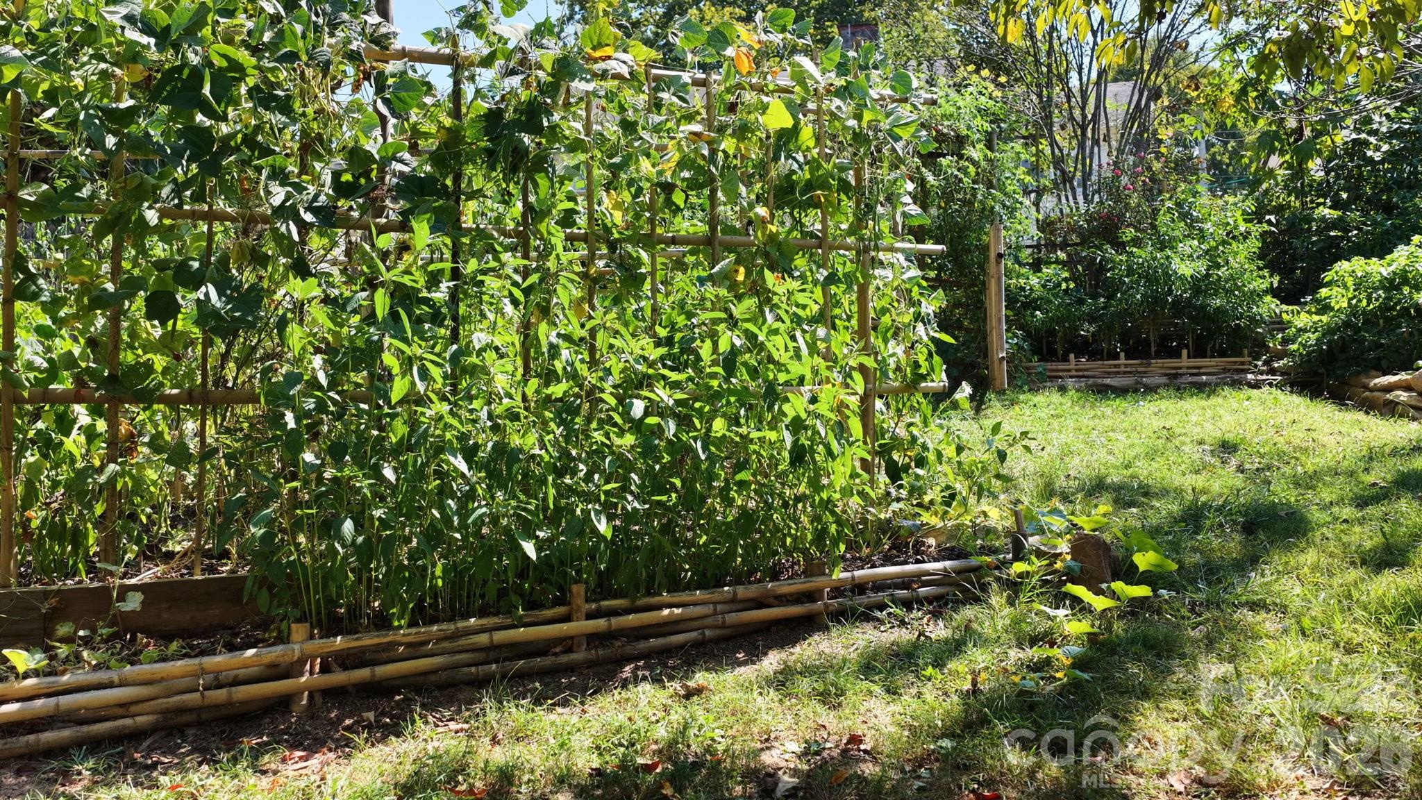 201 Logan Avenue Property Photo 29