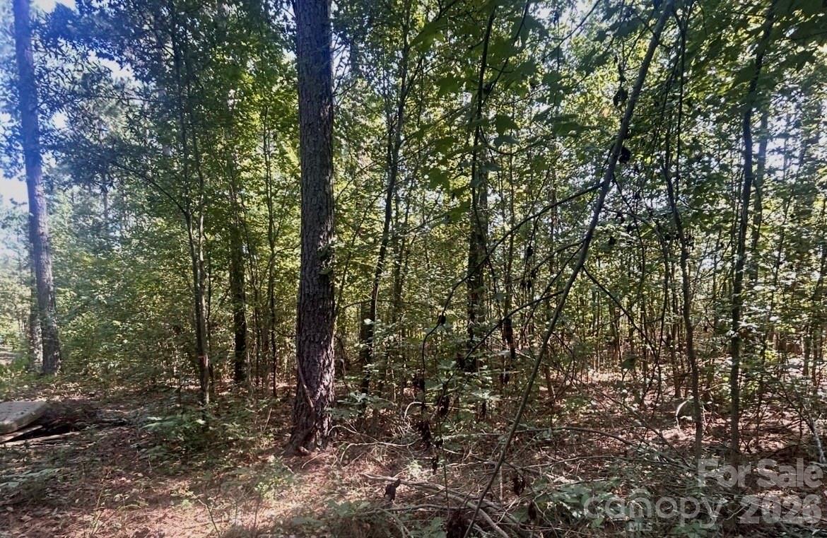 1216 Ross Road Property Photo 3