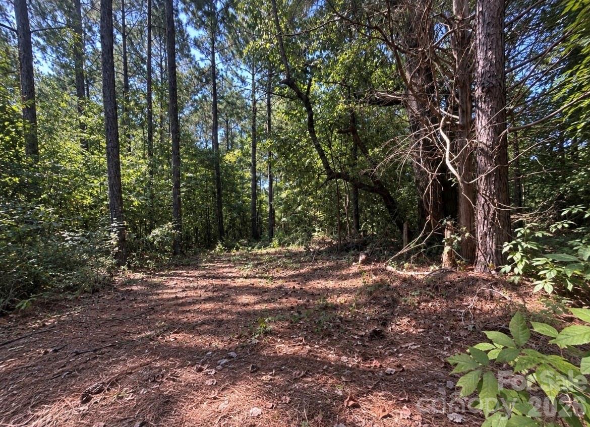 1216 Ross Road Property Photo 4