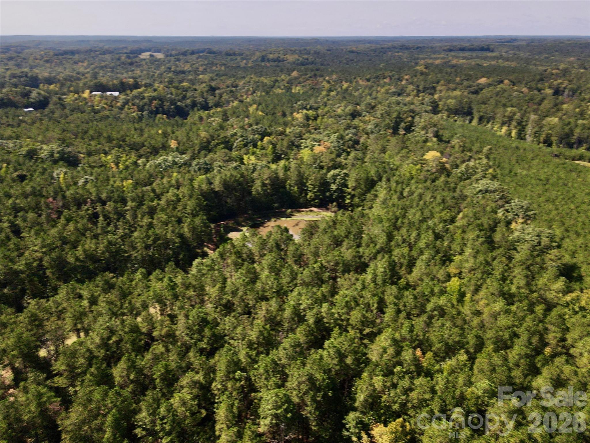 1216 Ross Road Property Photo 11
