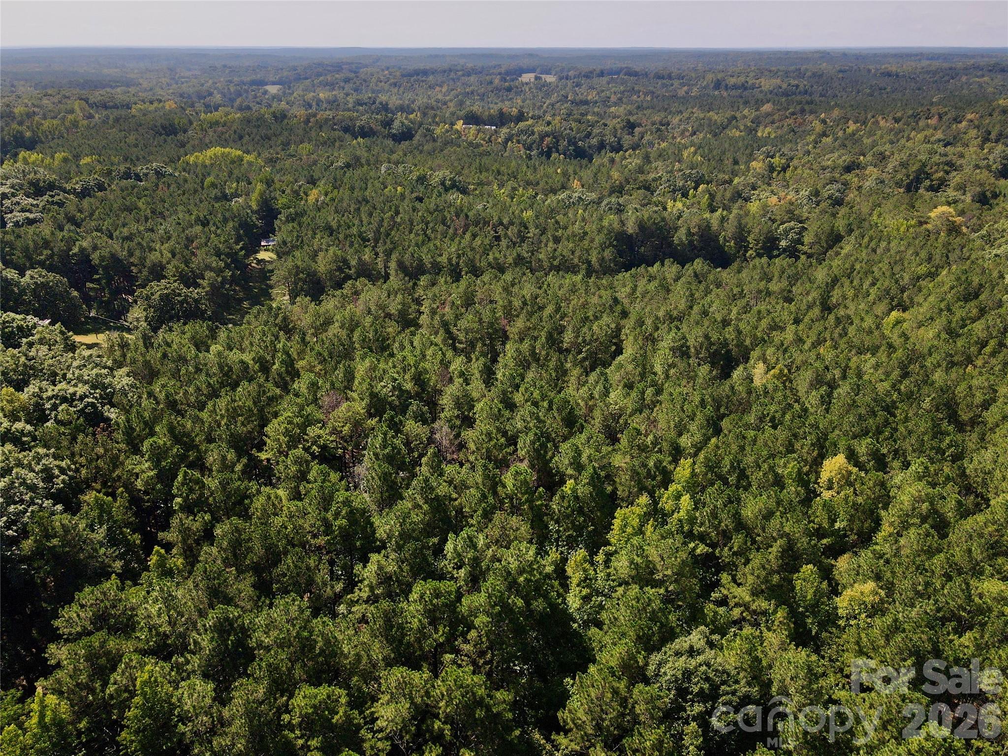 1216 Ross Road Property Photo 12