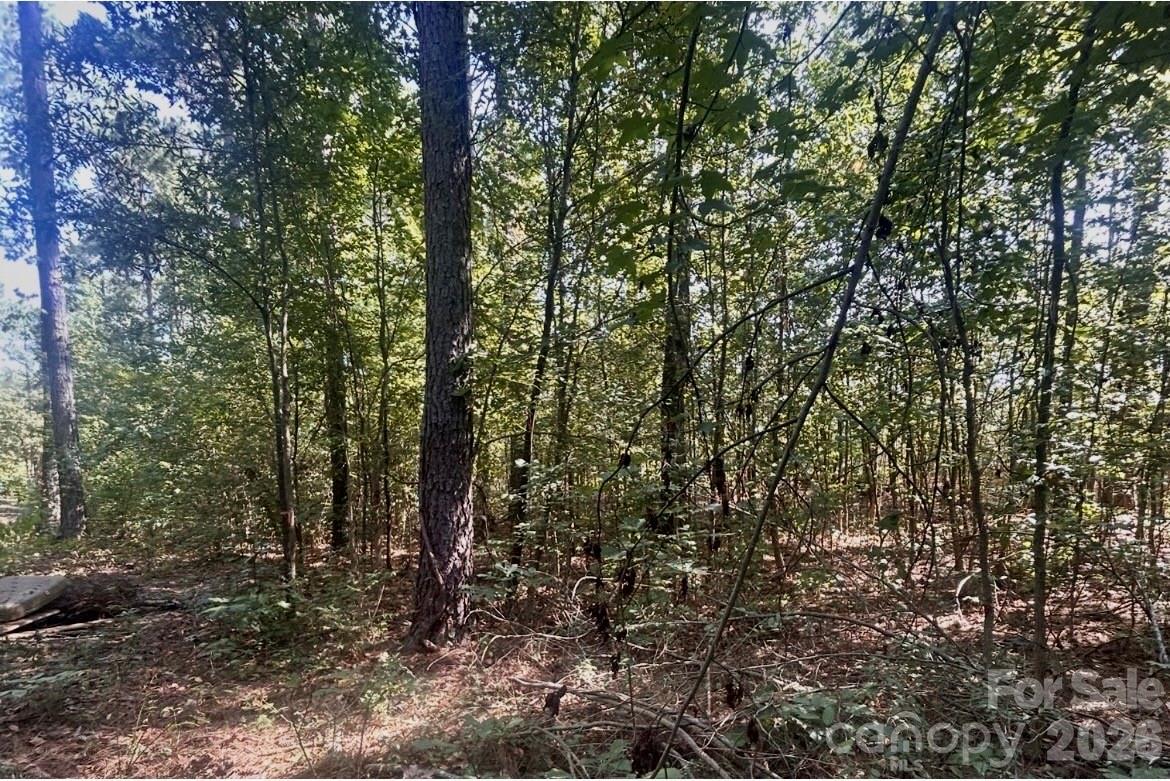 1216 Ross Road Property Photo 13