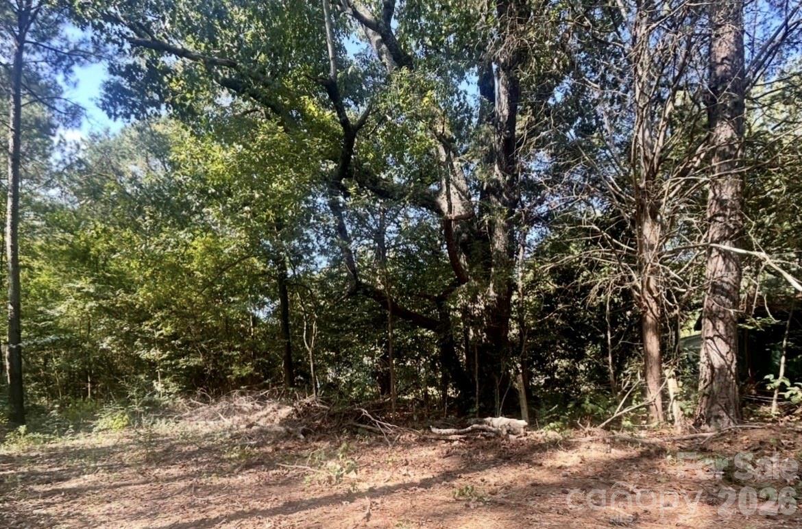1216 Ross Road Property Photo 14