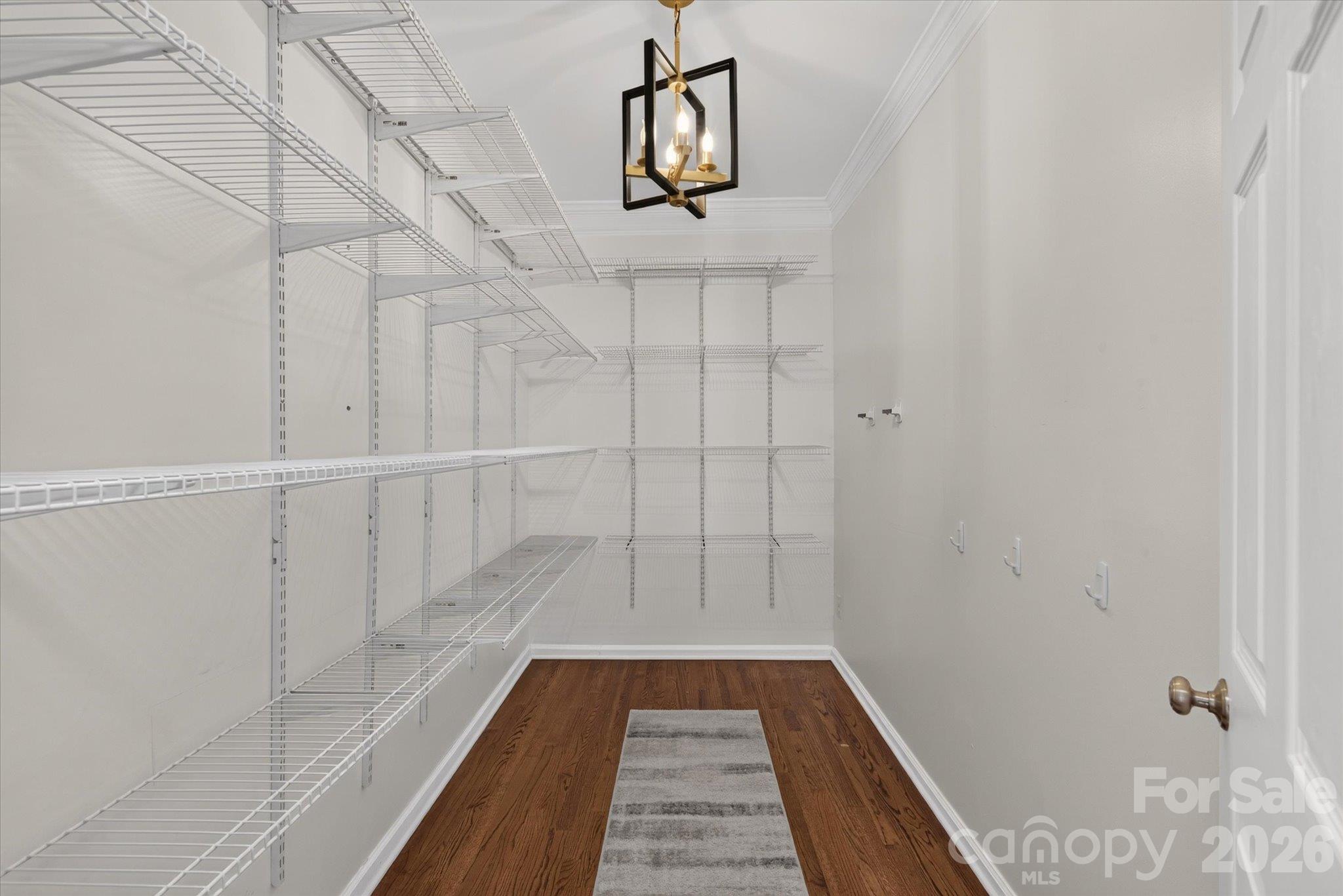 10304 Berkeley Pond Drive Property Photo 10