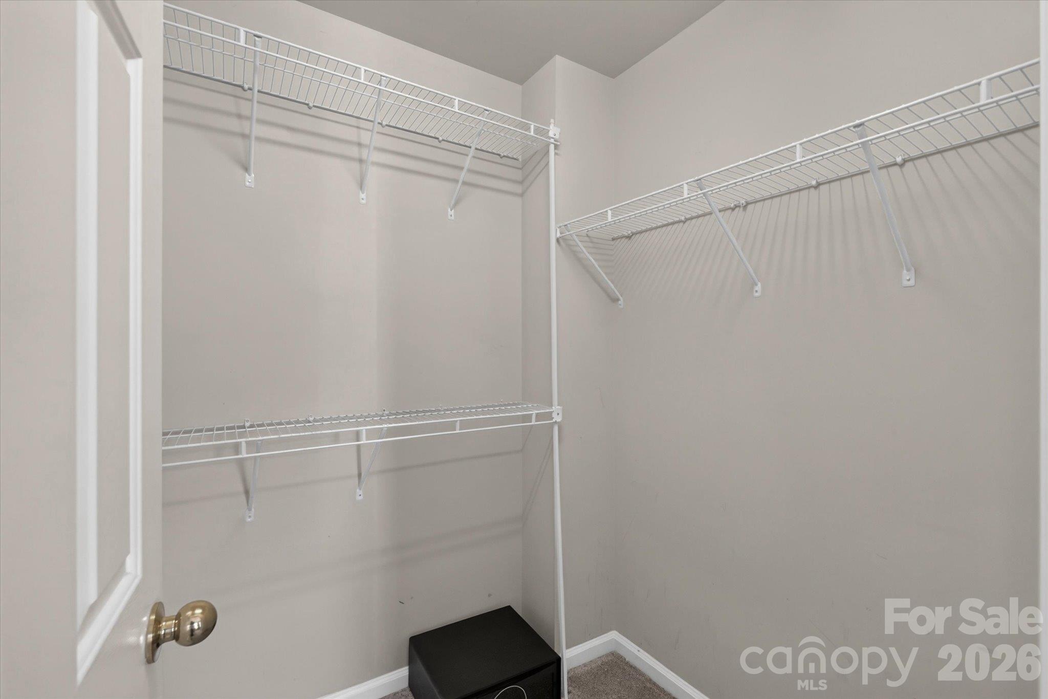 10304 Berkeley Pond Drive Property Photo 28