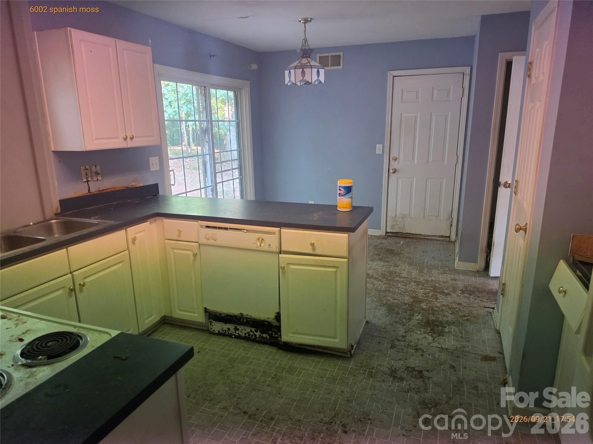 6002 Spanish Moss Lane Property Photo 4