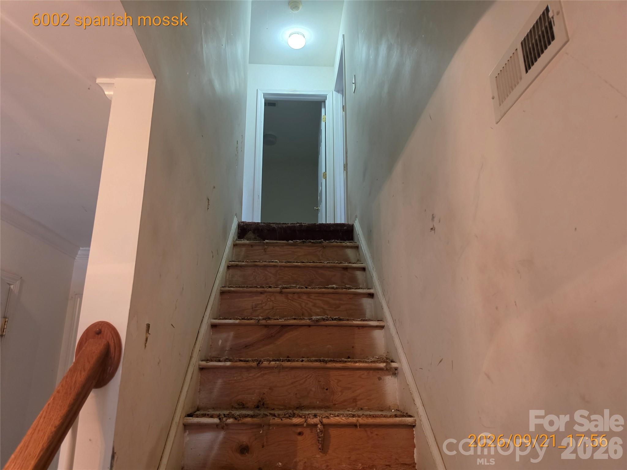 6002 Spanish Moss Lane Property Photo 8