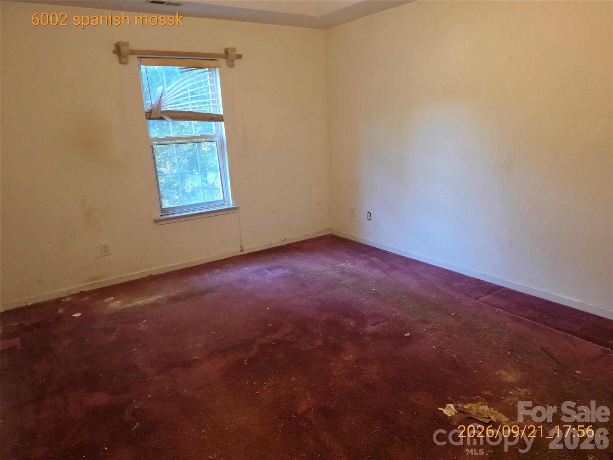 6002 Spanish Moss Lane Property Photo 12