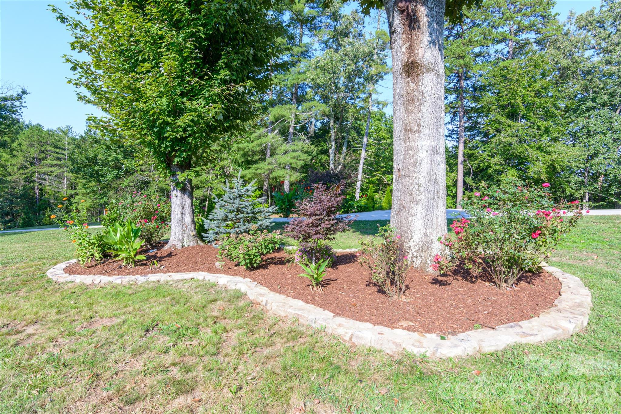 609 Old Mars Hill Highway Property Photo 21