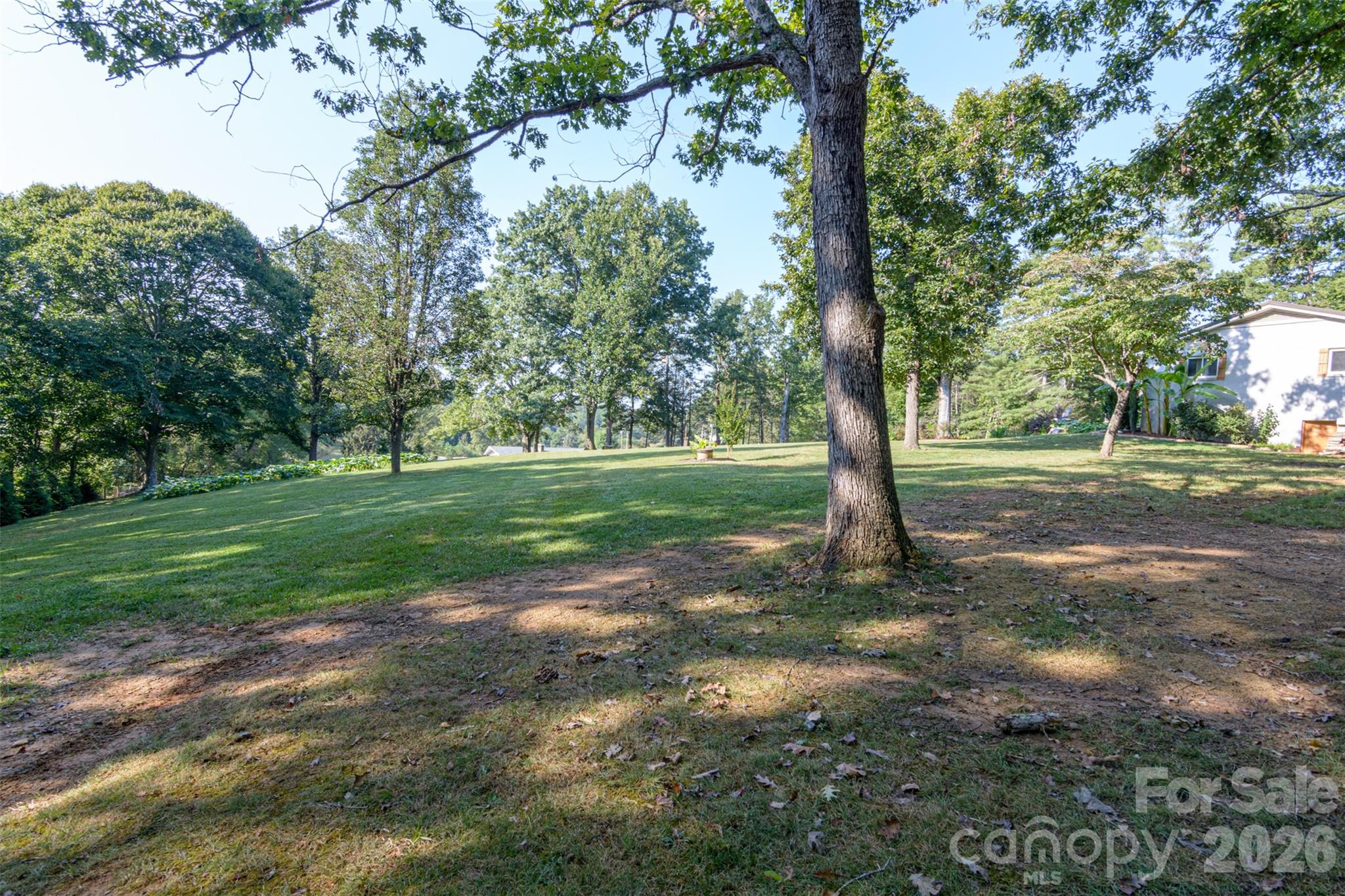 609 Old Mars Hill Highway Property Photo 25