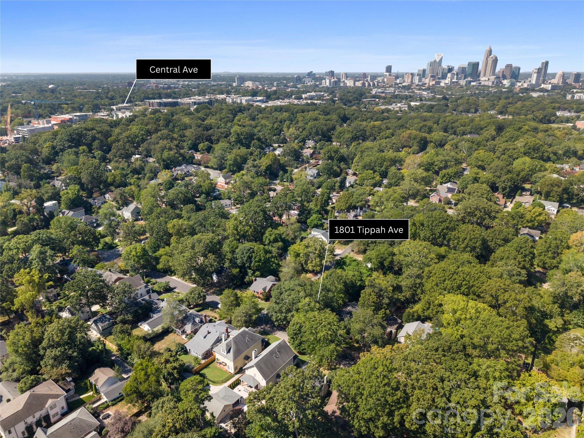 1801 Tippah Avenue Property Photo 36