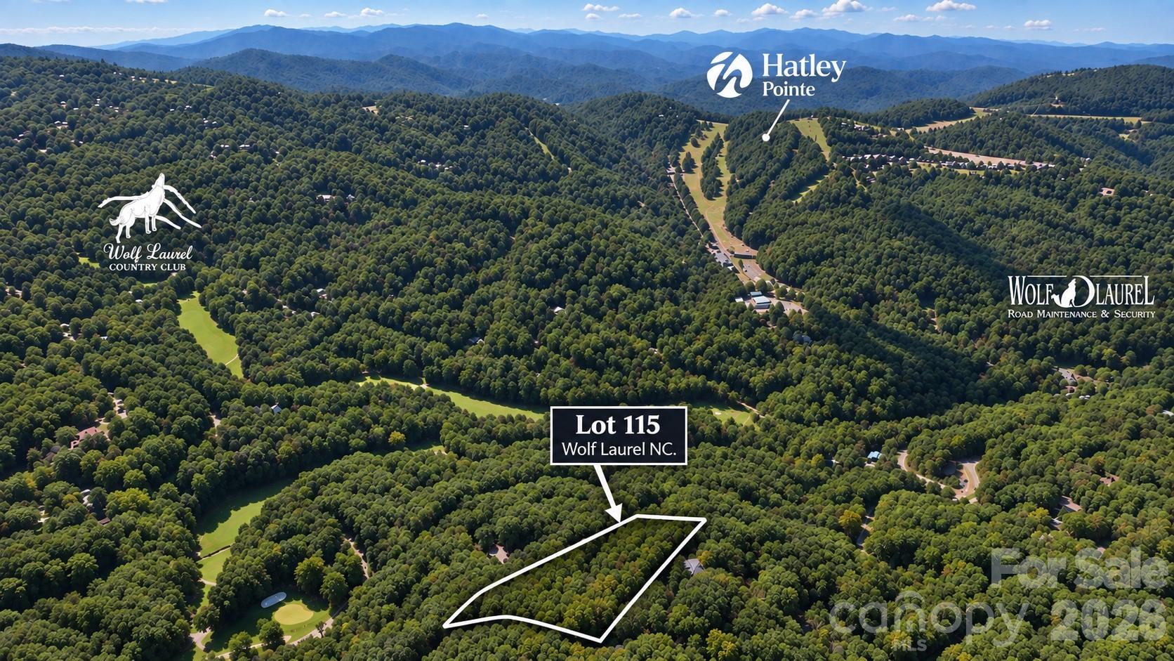 Lot 115 Sugar Tree Lane 115 Property Photo 1