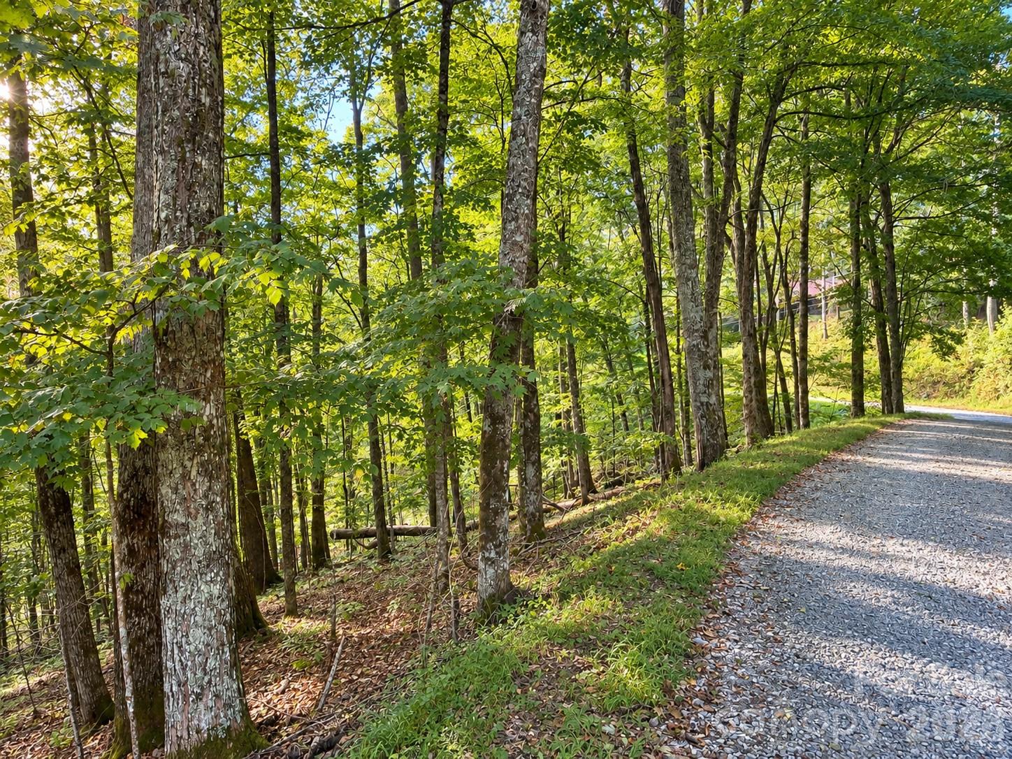 Lot 115 Sugar Tree Lane 115 Property Photo 2