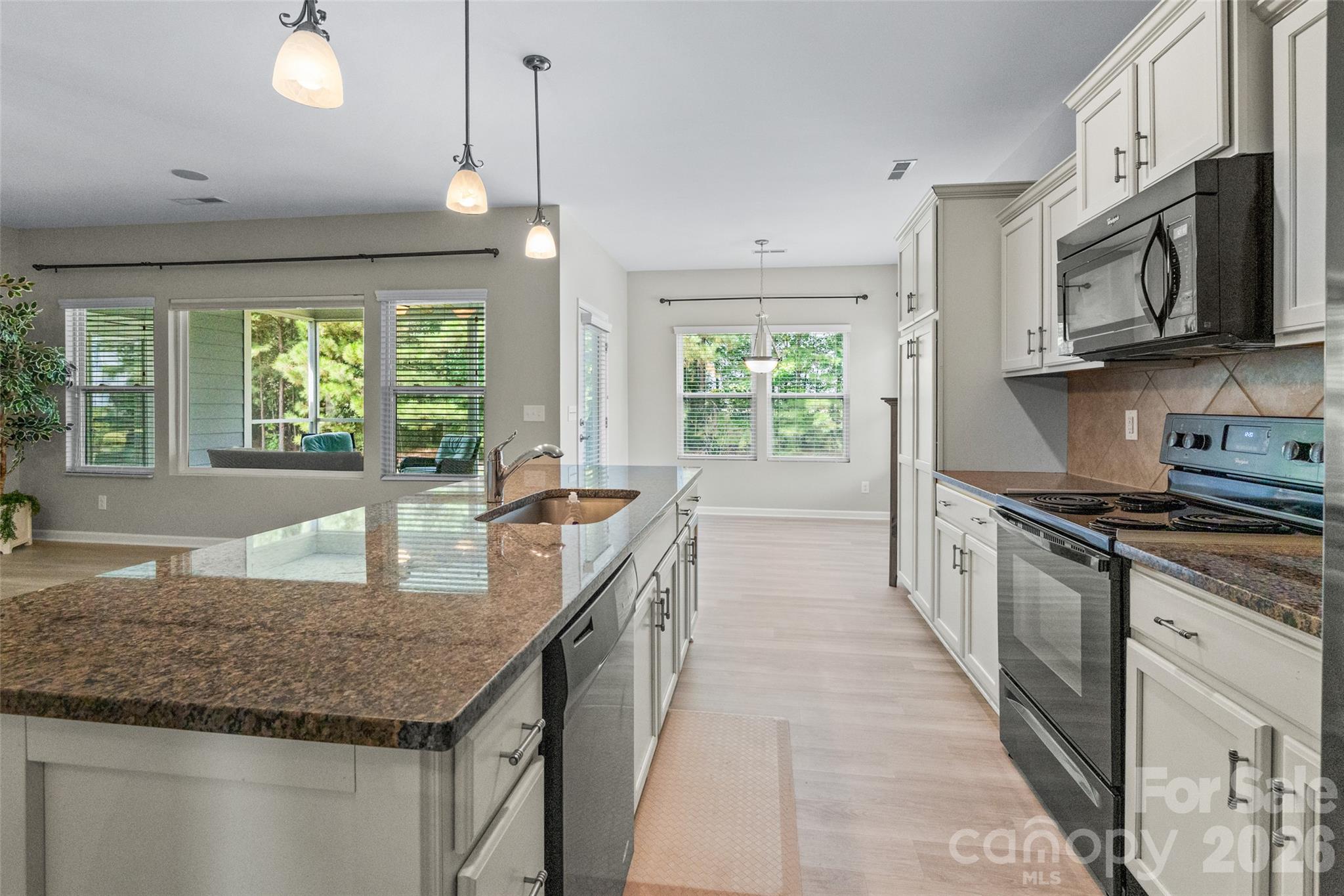 2602 White Pines Court Property Photo 17
