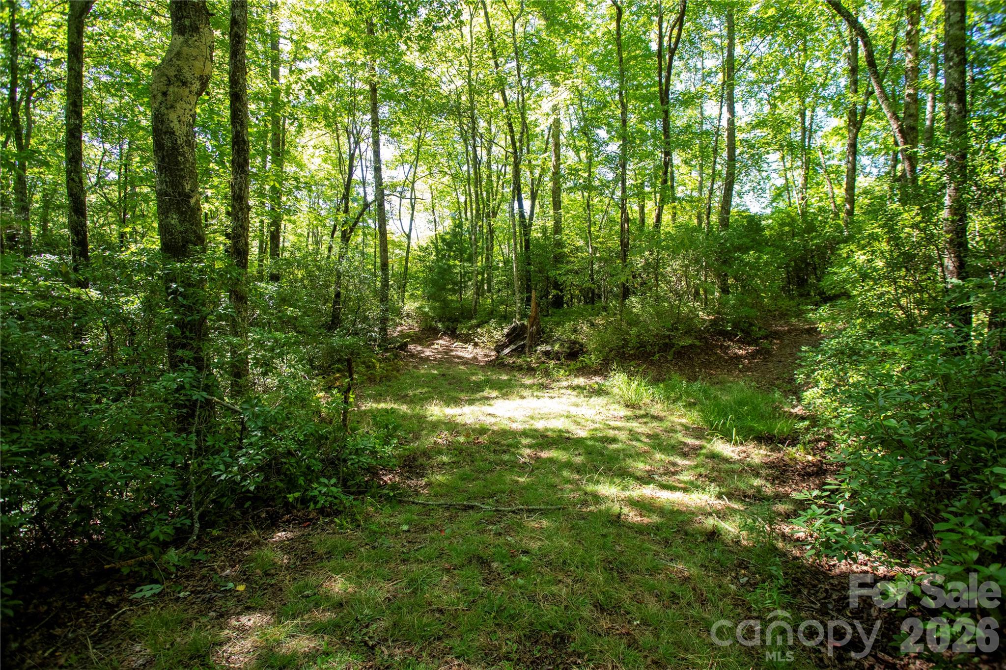 147 Hummingbird Hollow Property Photo 1