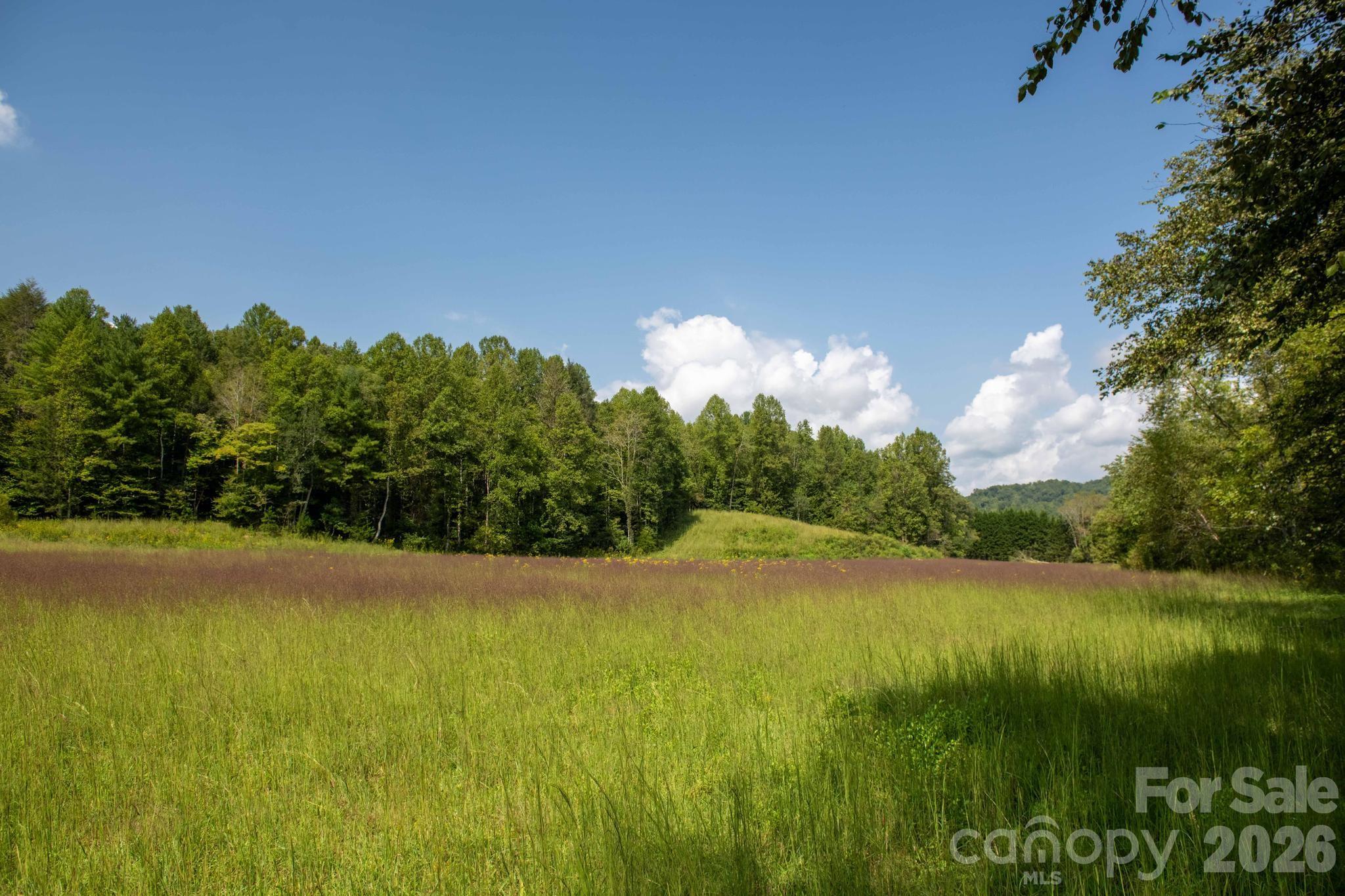 3305 Zacks Fork Road Property Photo 1