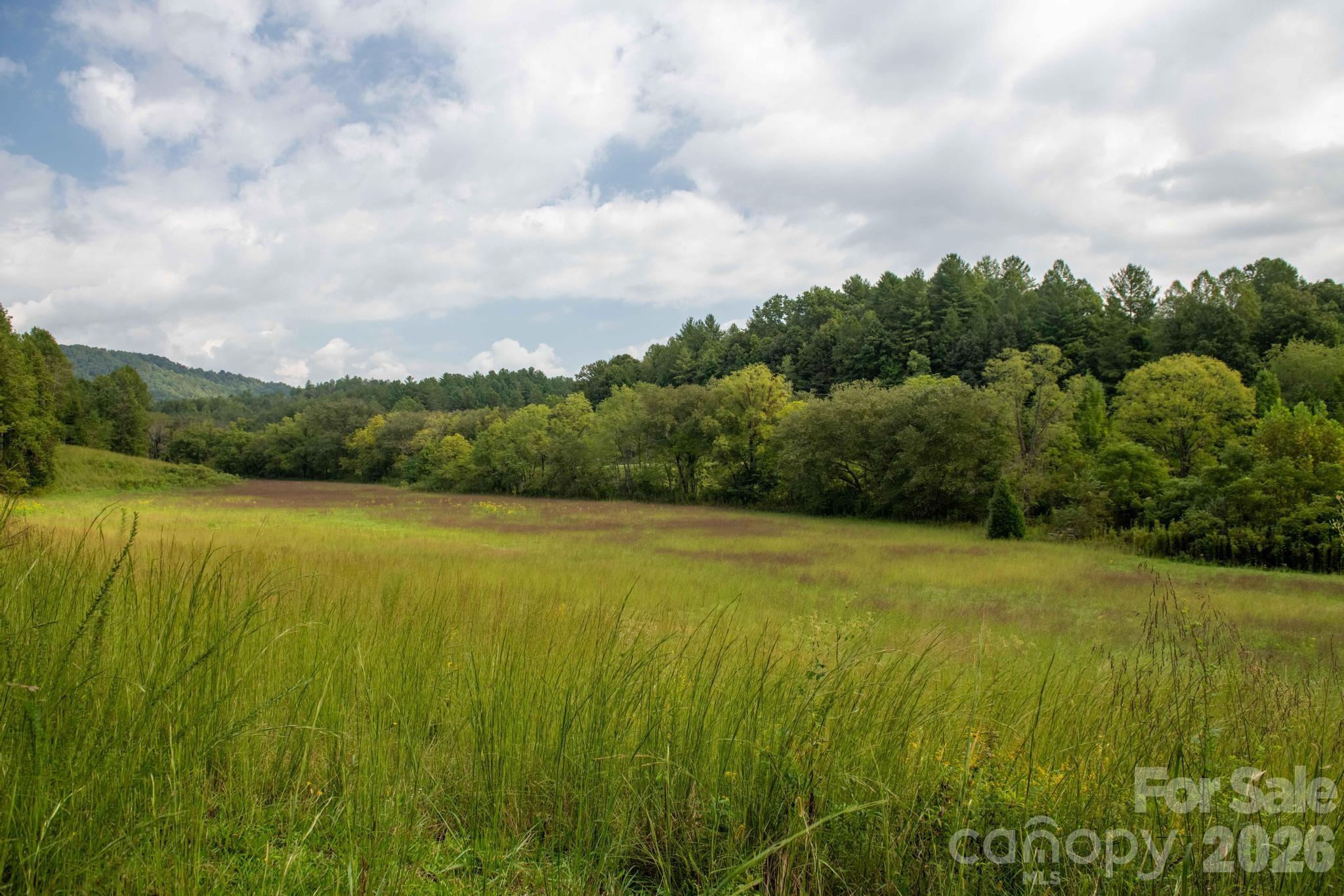 3305 Zacks Fork Road Property Photo 4
