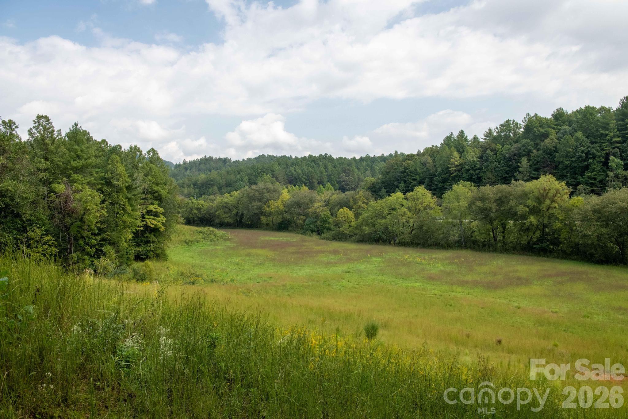 3305 Zacks Fork Road Property Photo 5