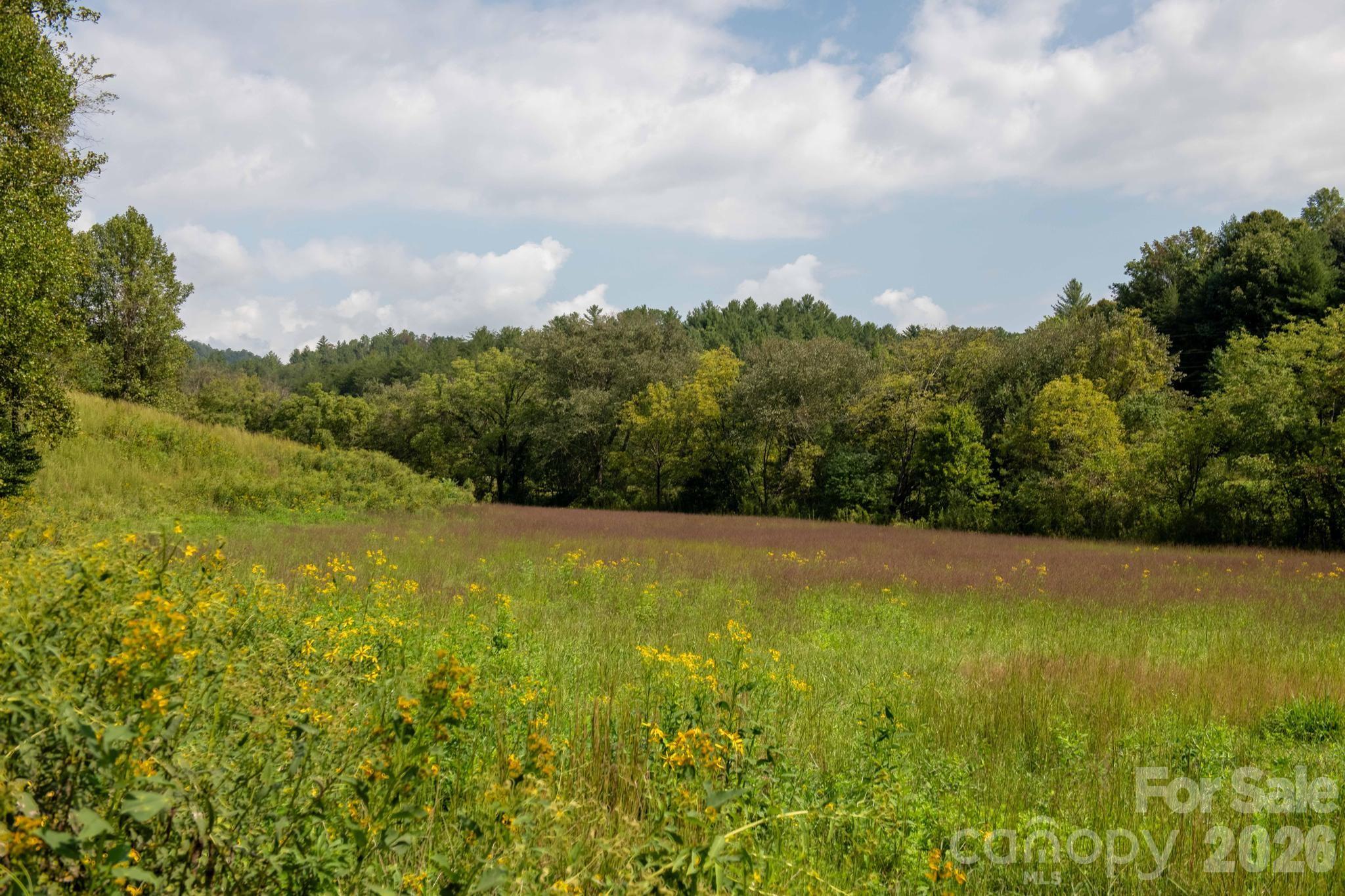 3305 Zacks Fork Road Property Photo 6