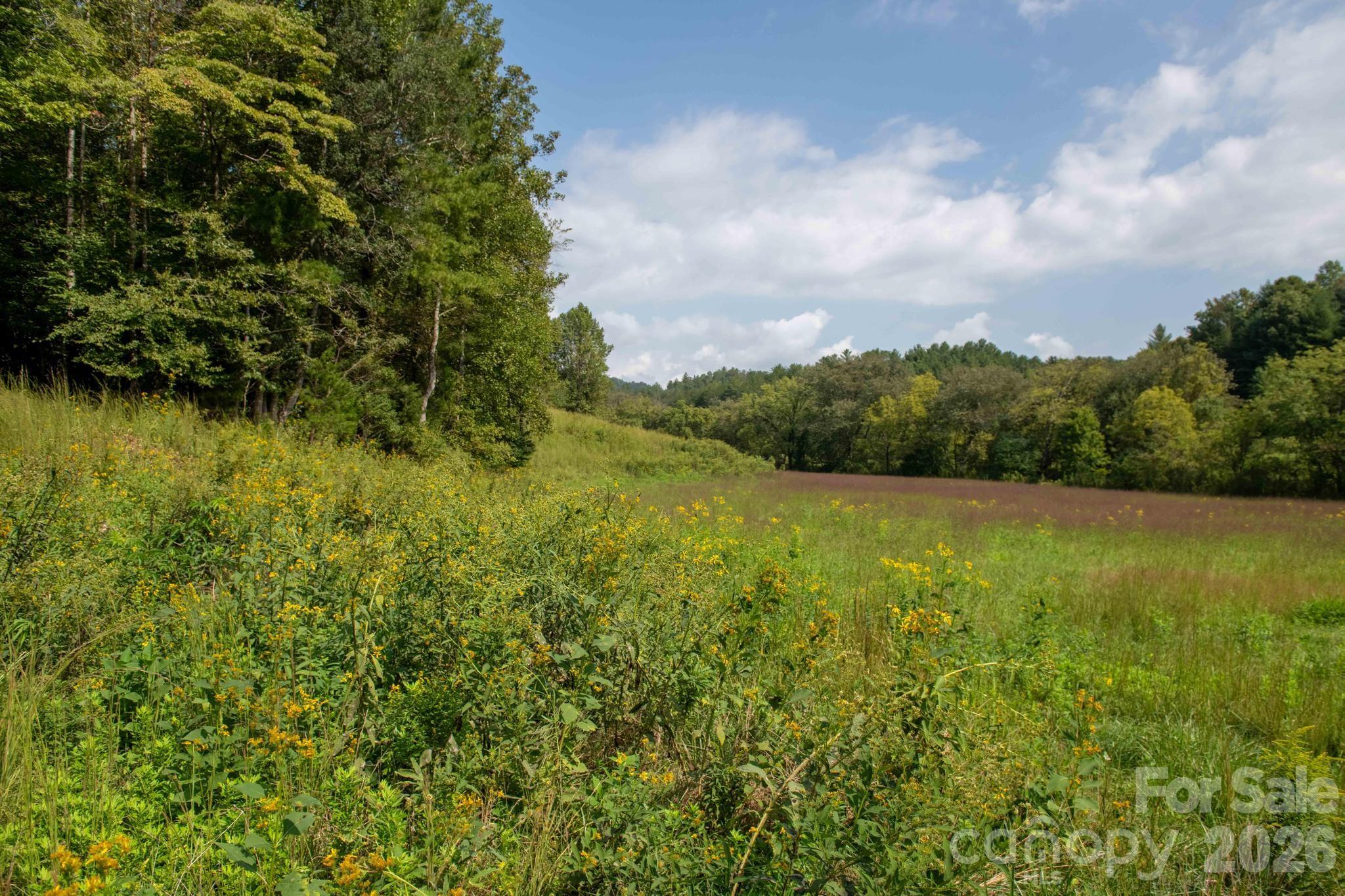 3305 Zacks Fork Road Property Photo 7