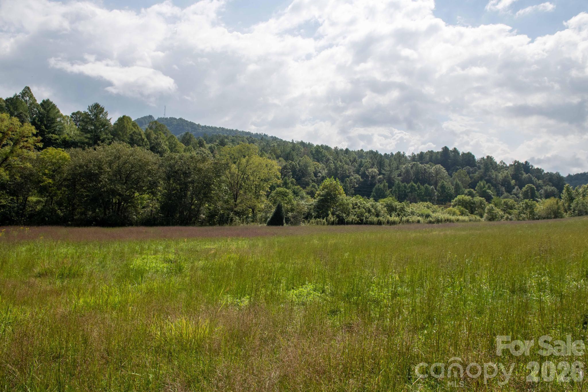 3305 Zacks Fork Road Property Photo 8