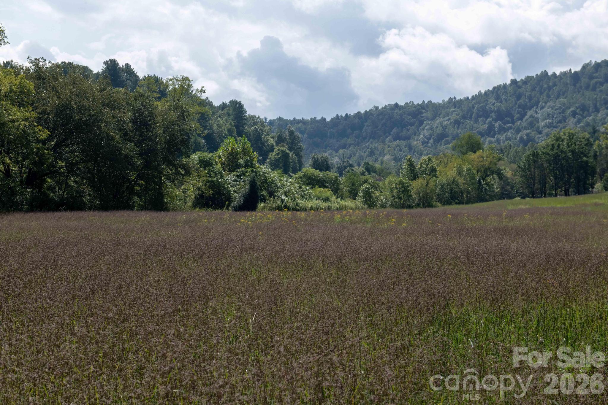 3305 Zacks Fork Road Property Photo 9