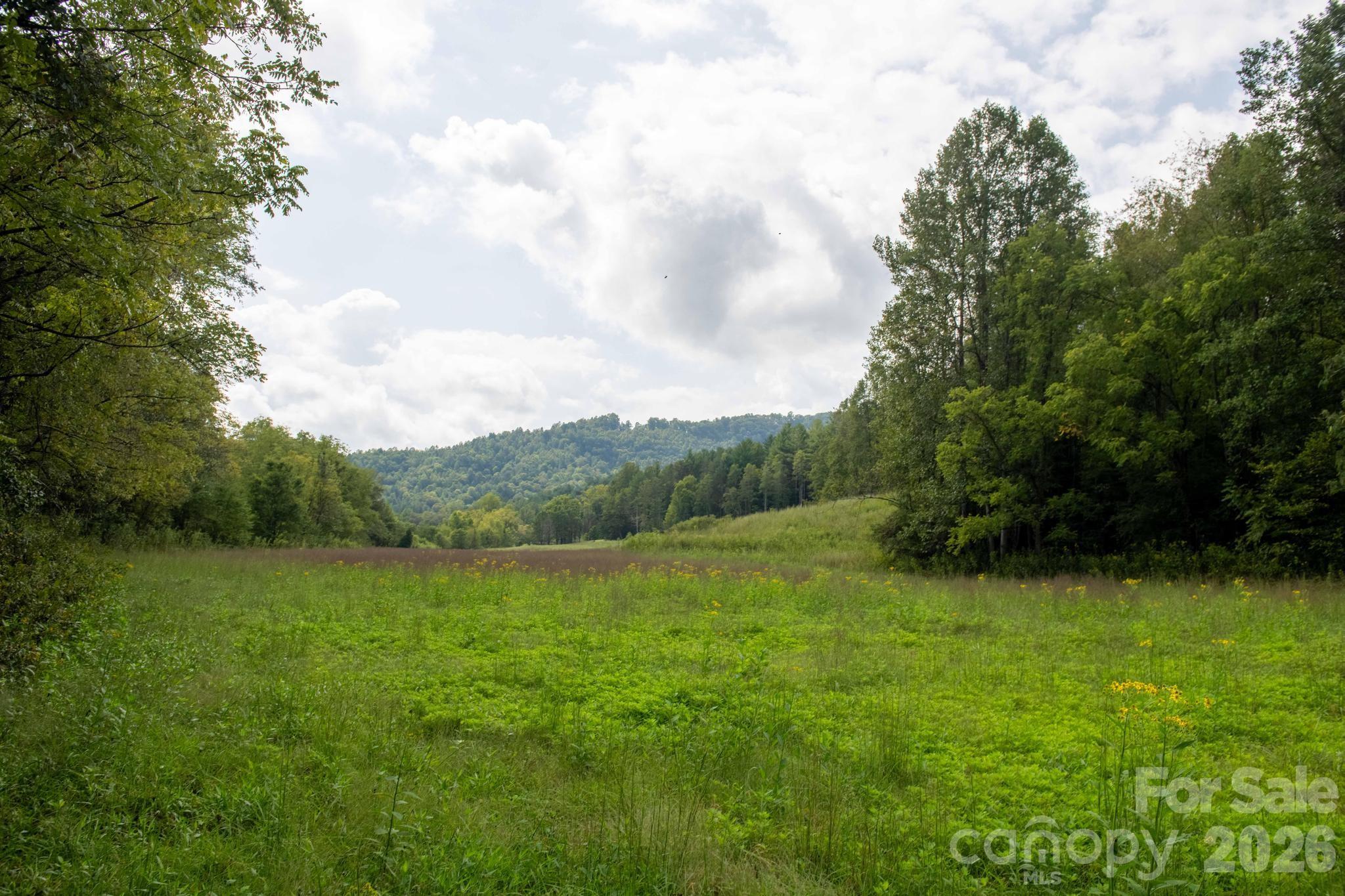 3305 Zacks Fork Road Property Photo 10