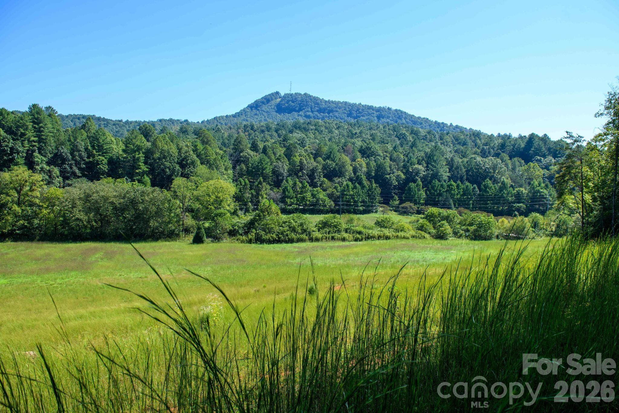 3305 Zacks Fork Road Property Photo 35