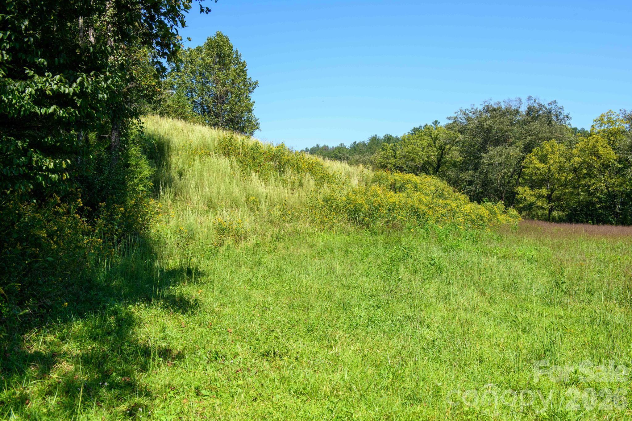 3305 Zacks Fork Road Property Photo 43