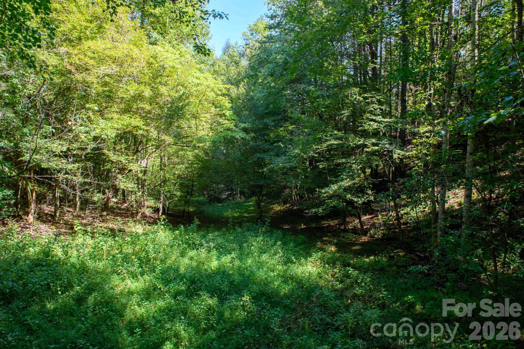3305 Zacks Fork Road Property Photo 46