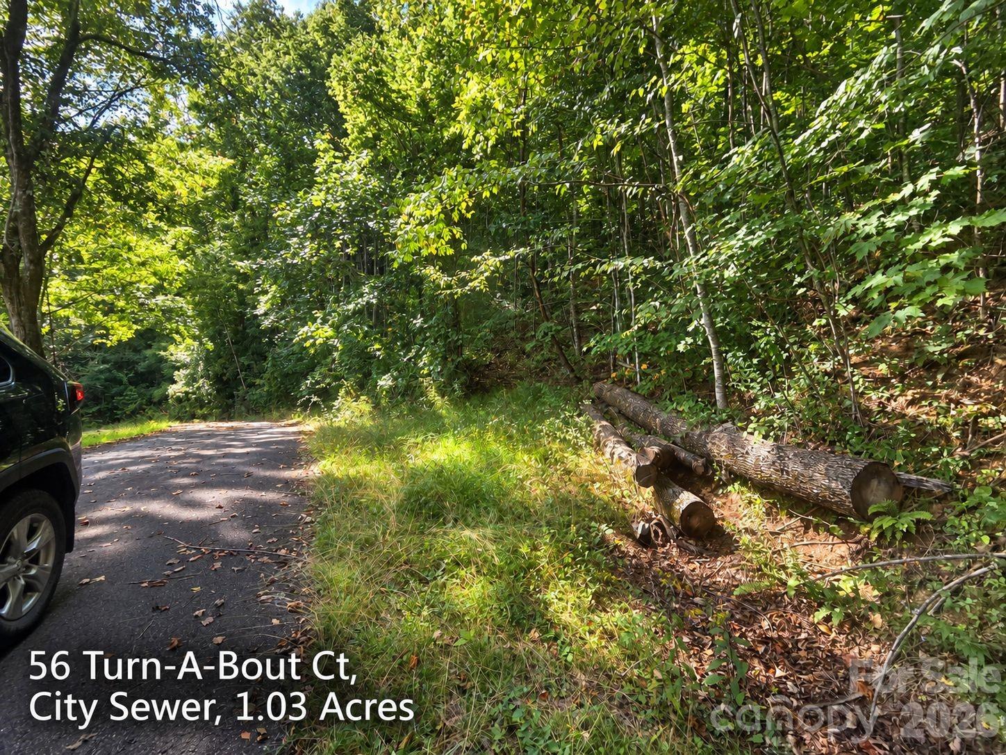 300 Turn-a-bout Court 56 Property Photo 2