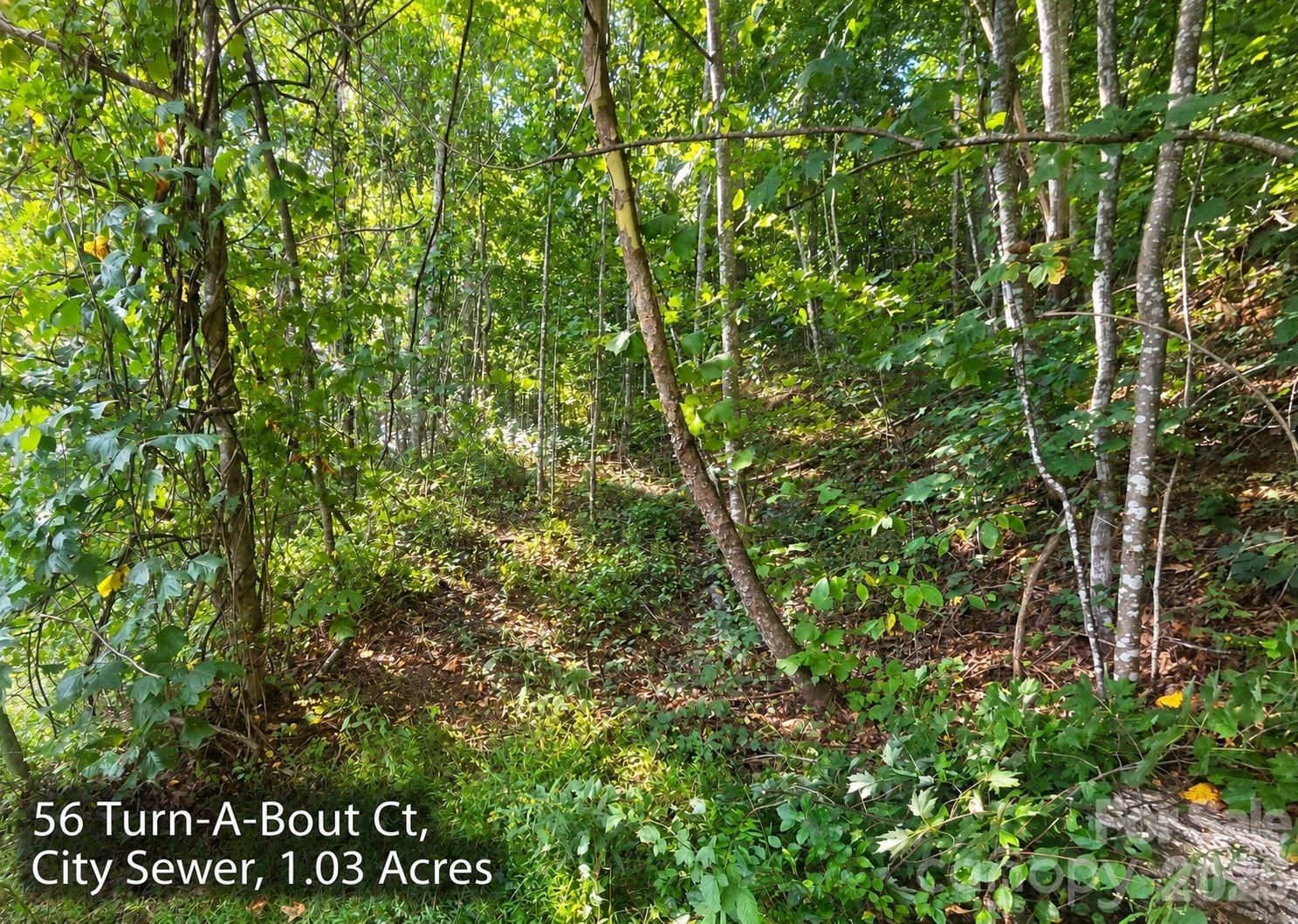300 Turn-a-bout Court 56 Property Photo 11