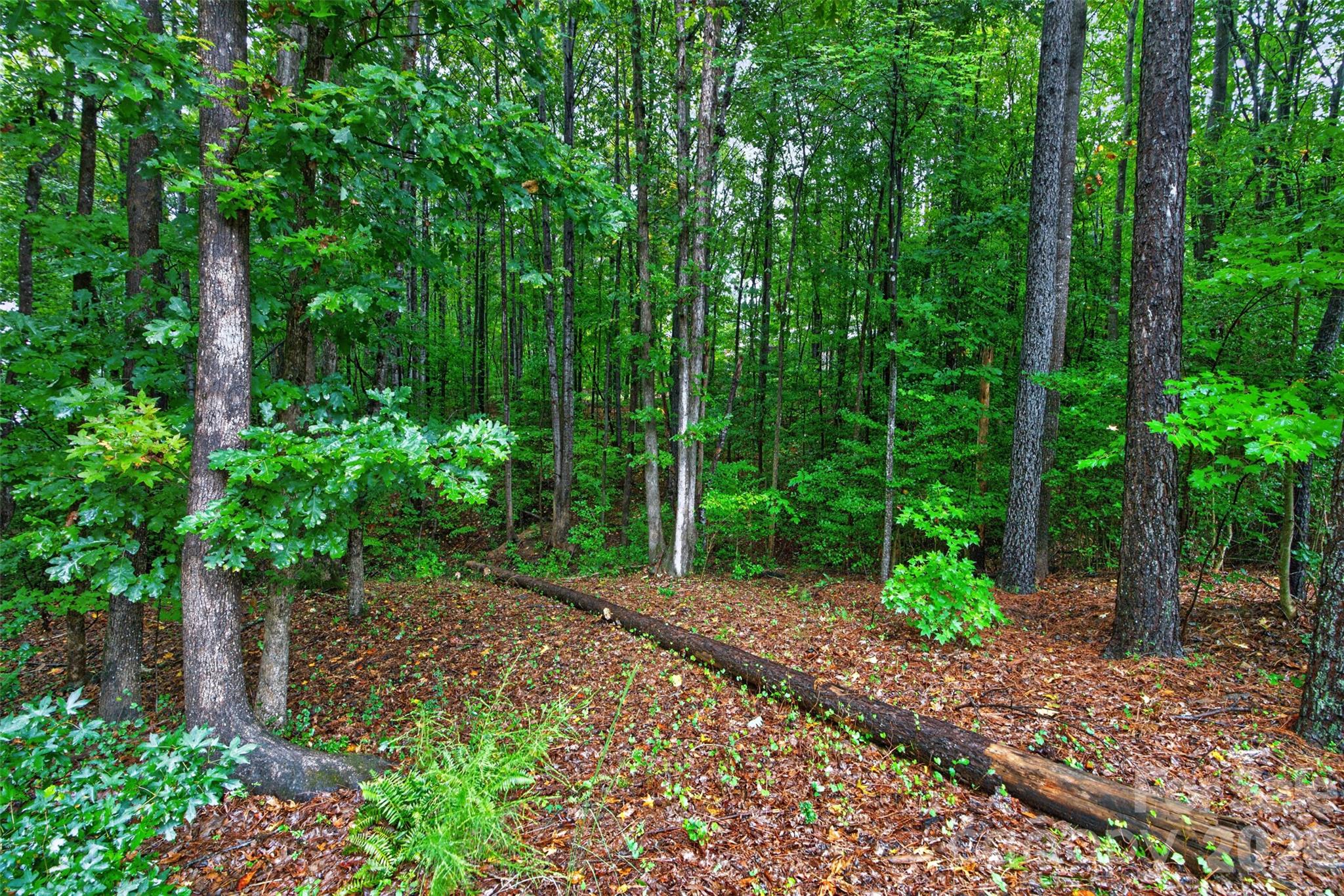6601 Harbor Oaks Drive Property Photo 36