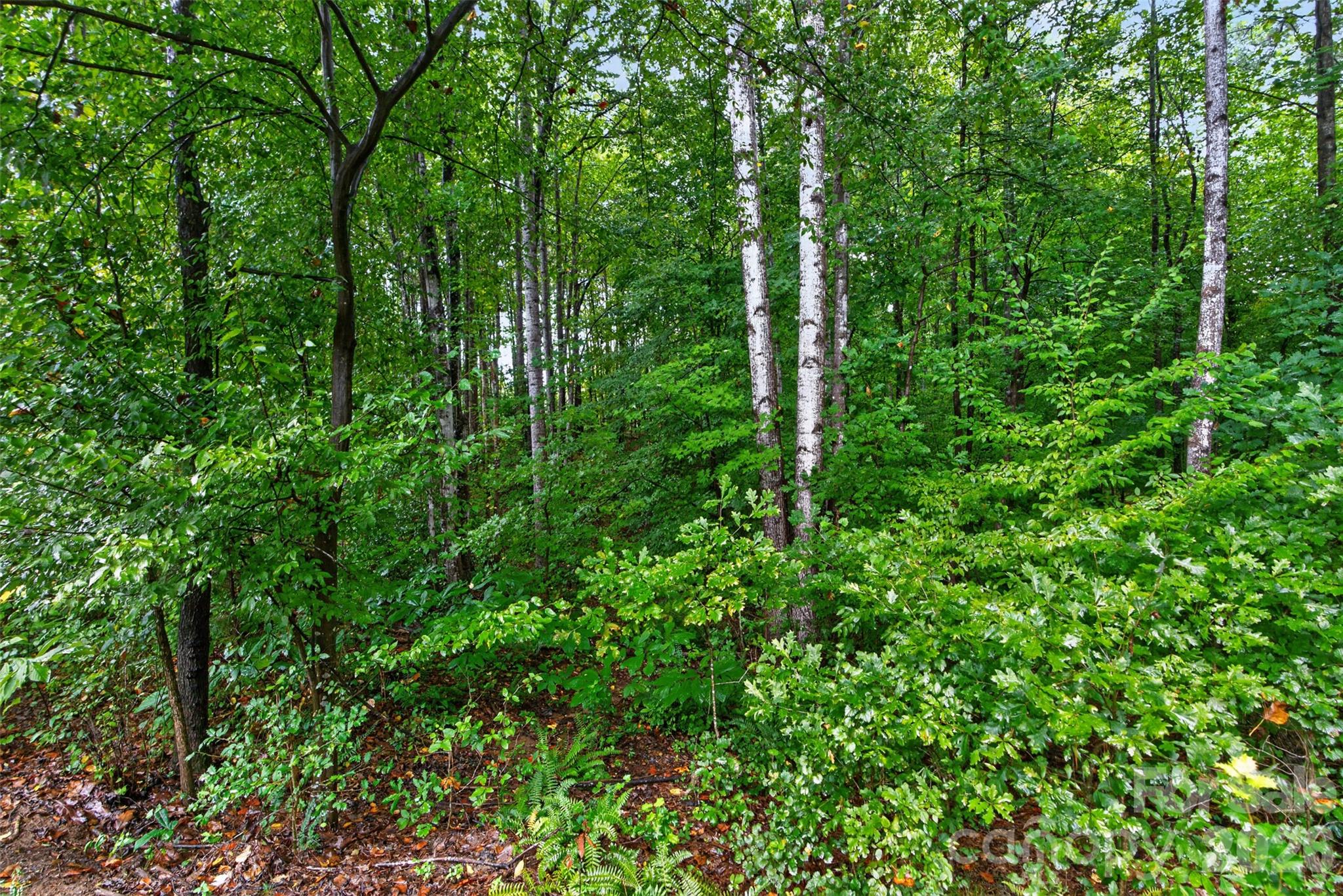 6601 Harbor Oaks Drive Property Photo 38