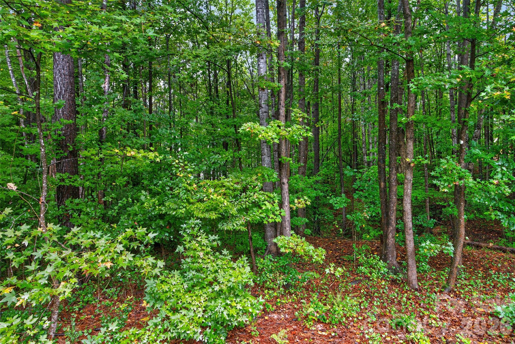 6601 Harbor Oaks Drive Property Photo 40