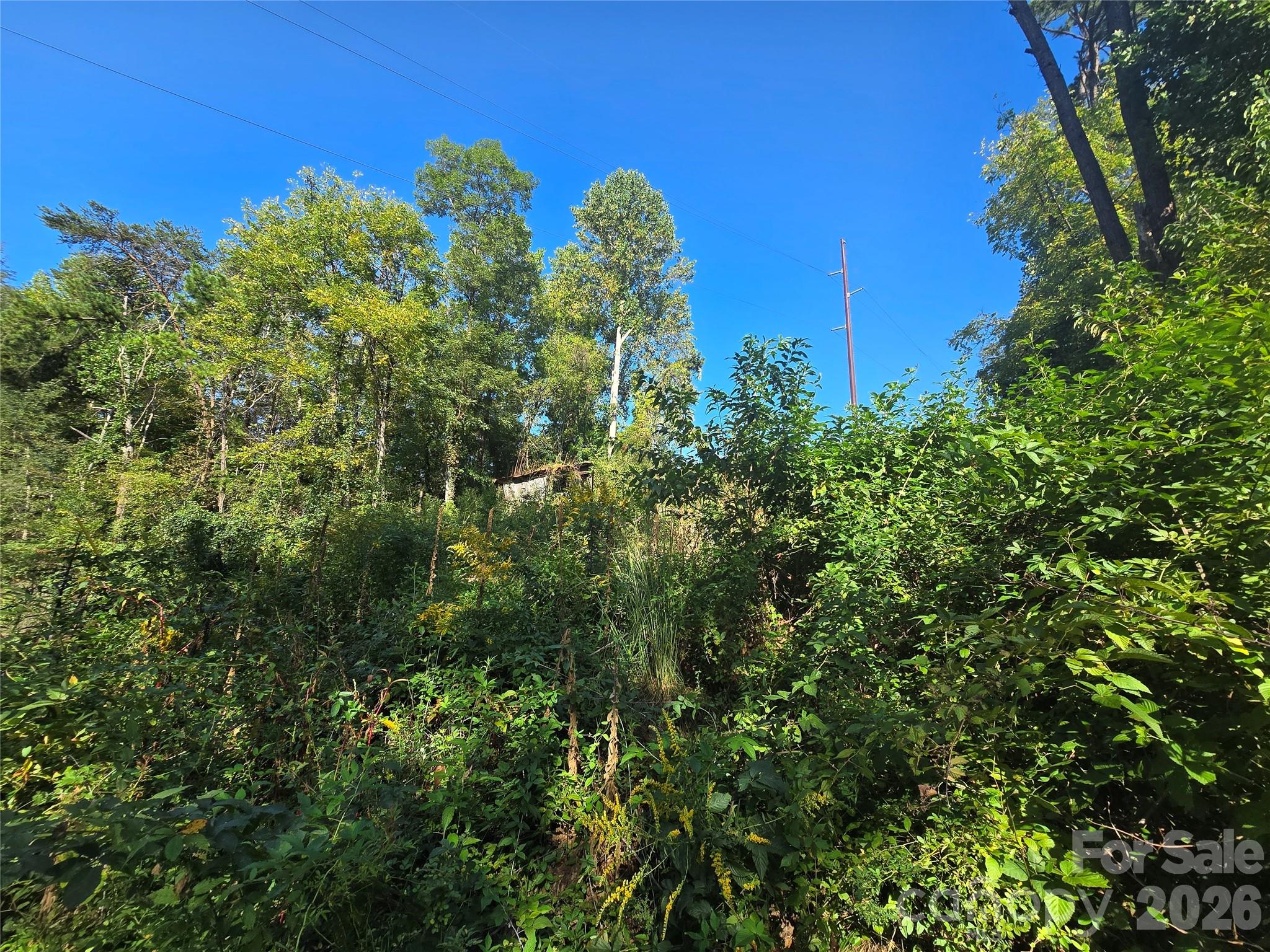 175 River Lane Property Photo 12
