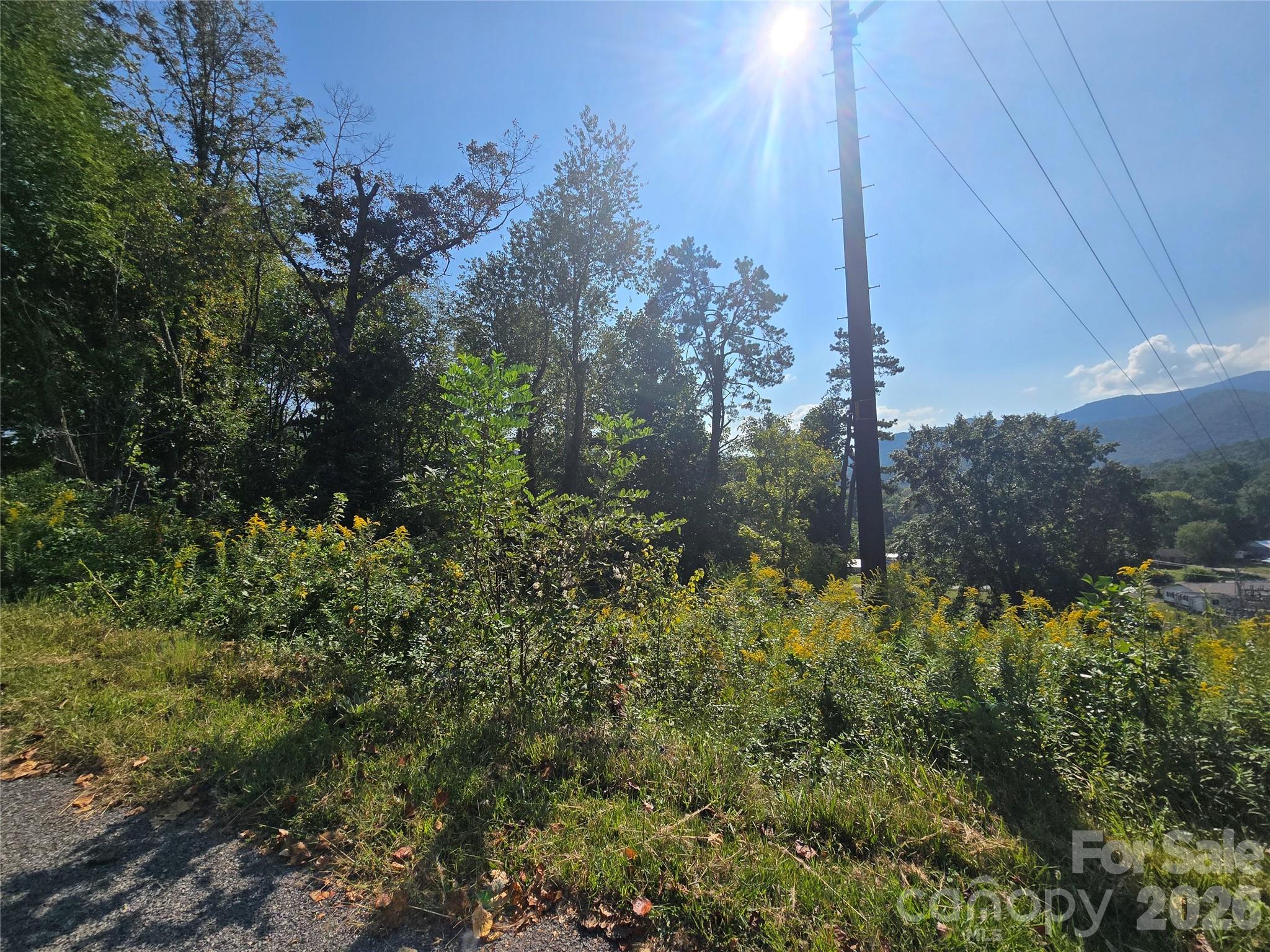 175 River Lane Property Photo 14