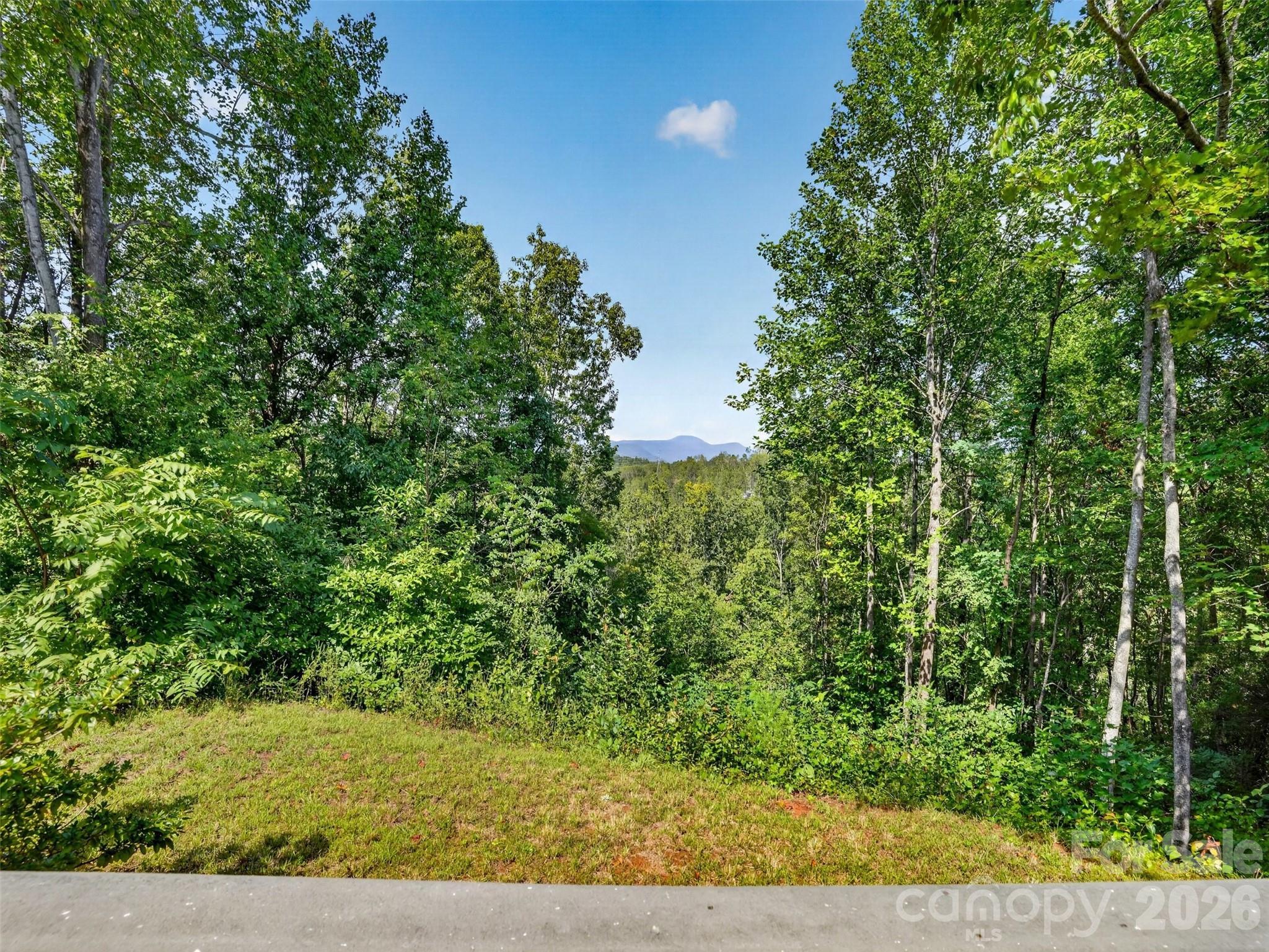 484 Briar Patch Lane Property Photo 2