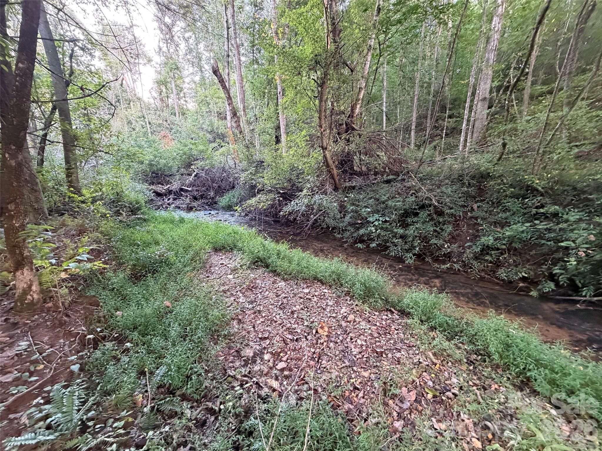 V/l Vein Mountain Road Property Photo 3