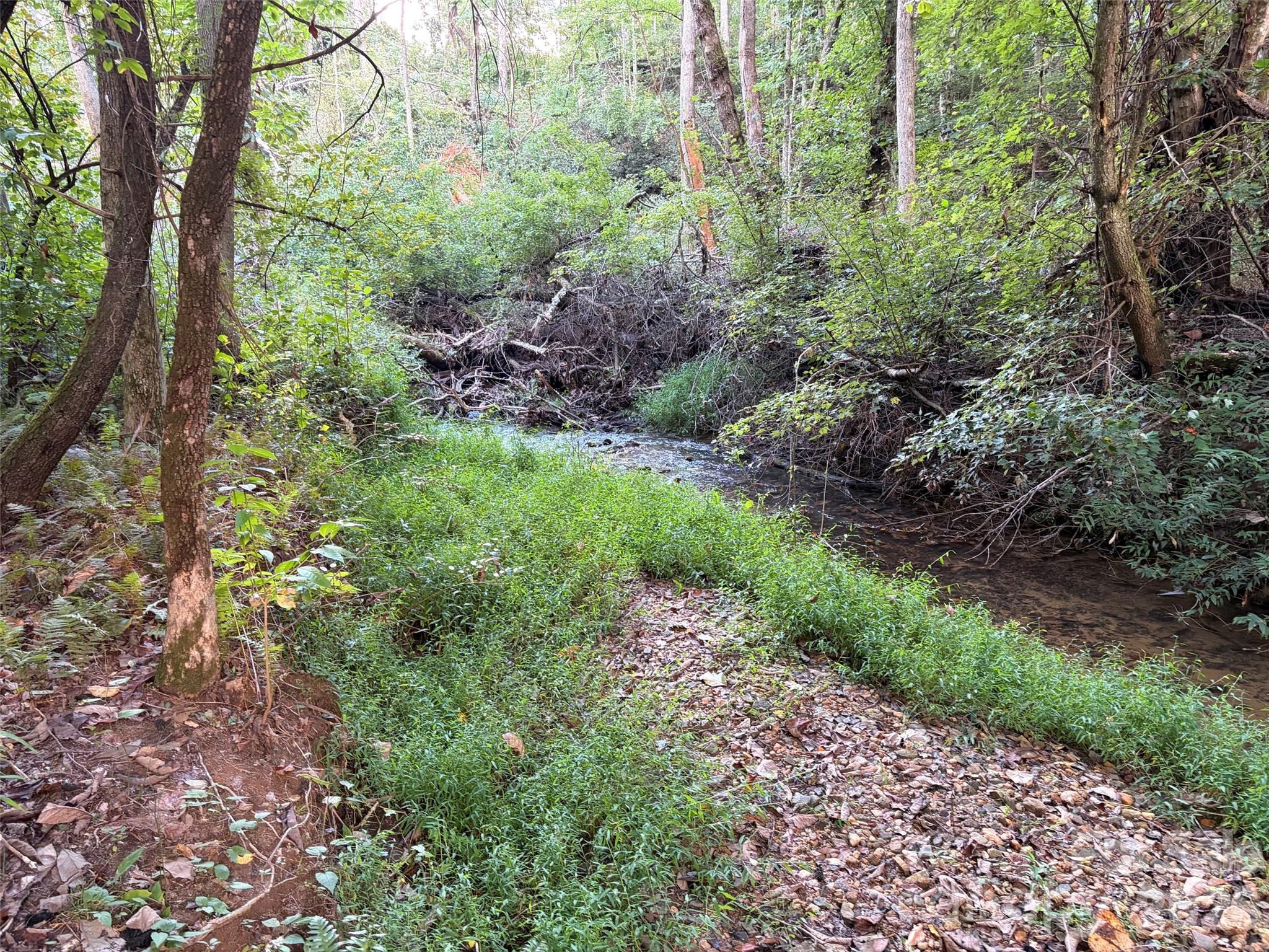 V/l Vein Mountain Road Property Photo 5