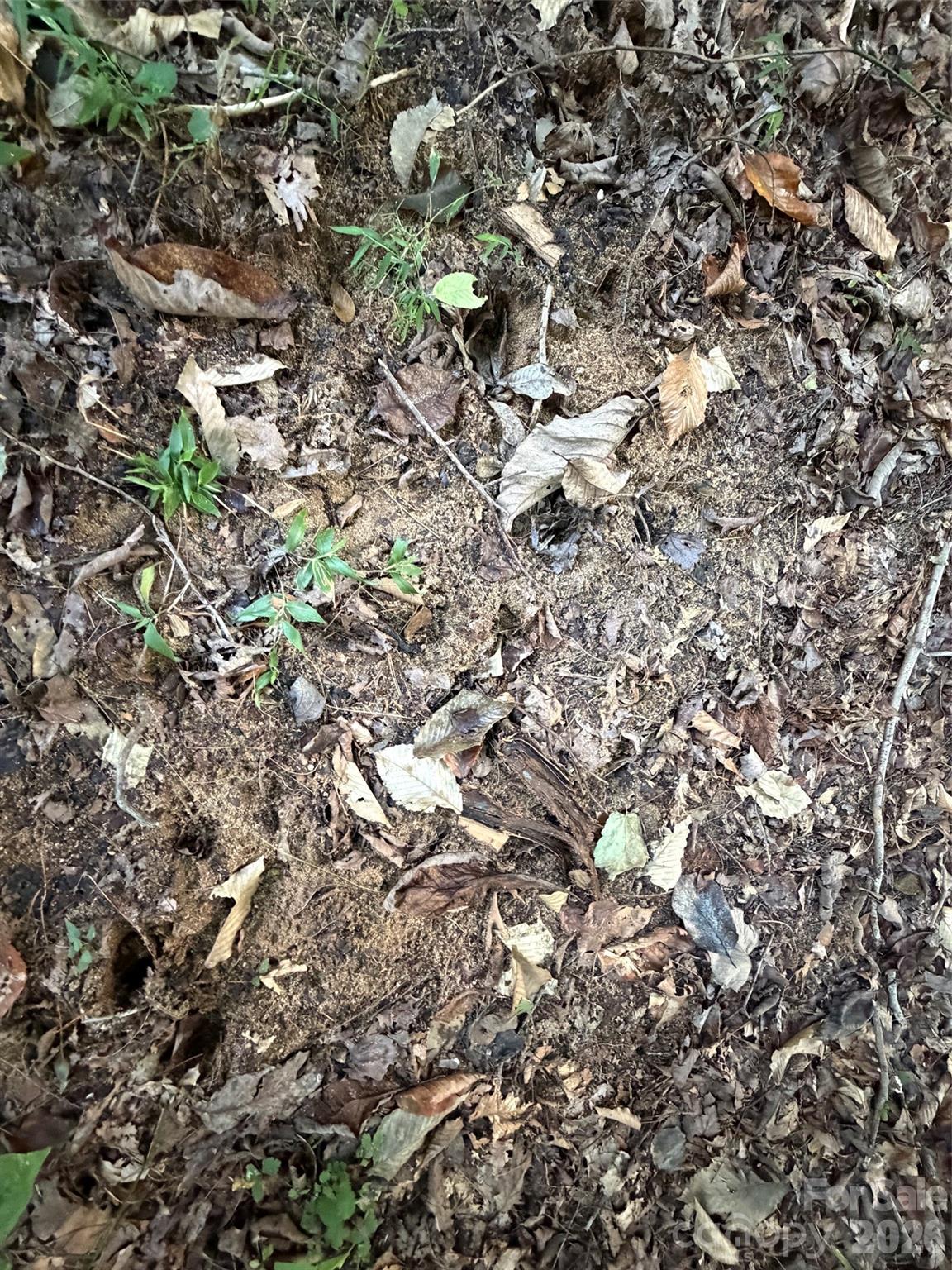 V/l Vein Mountain Road Property Photo 6