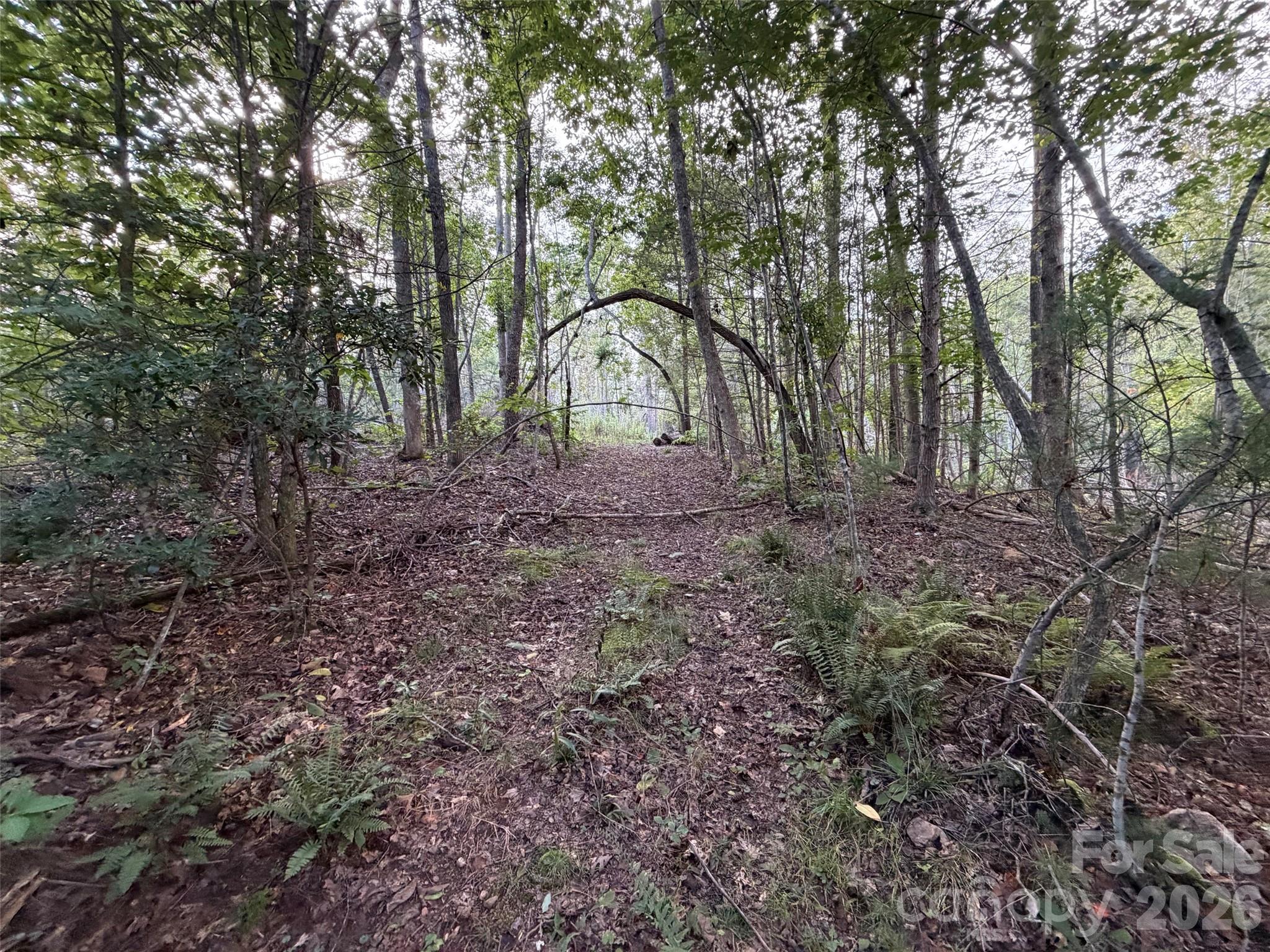V/l Vein Mountain Road Property Photo 8