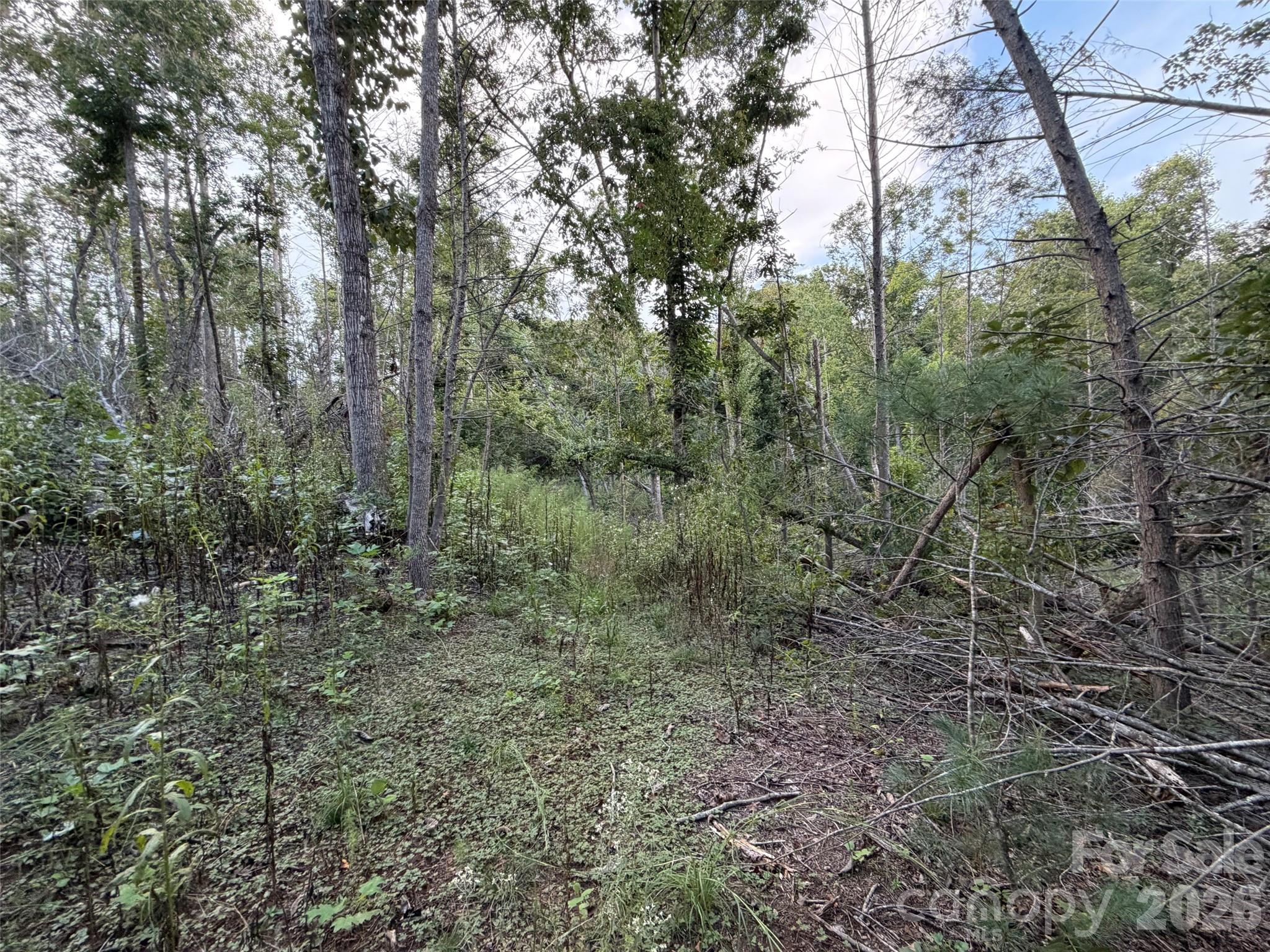 V/l Vein Mountain Road Property Photo 9