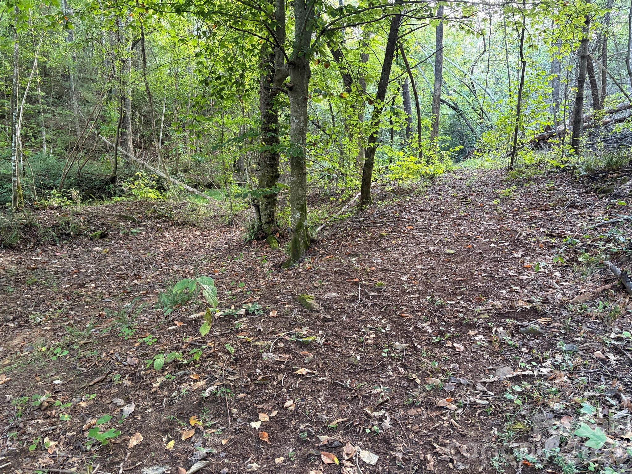 V/l Vein Mountain Road Property Photo 10