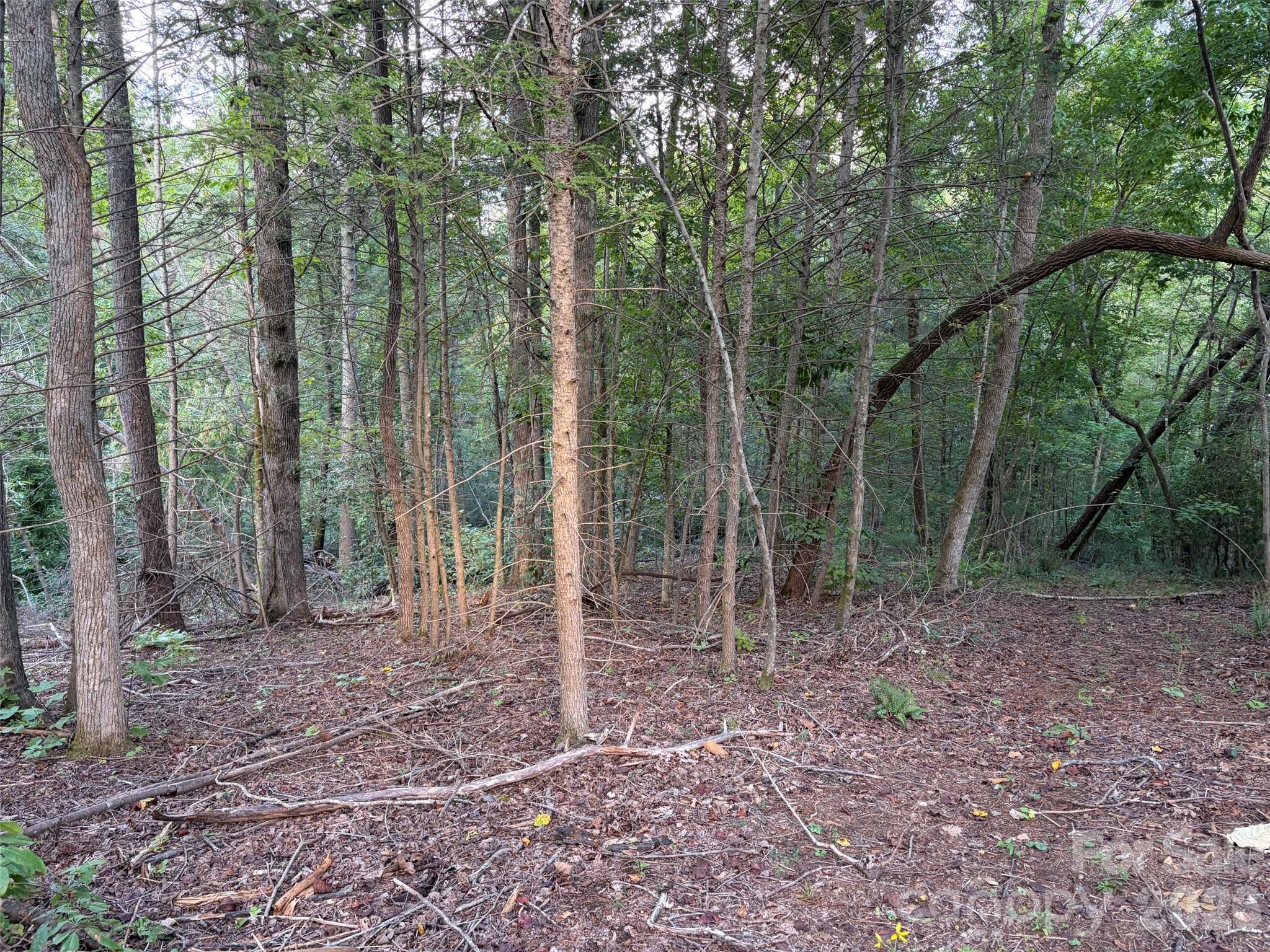 V/l Vein Mountain Road Property Photo 11