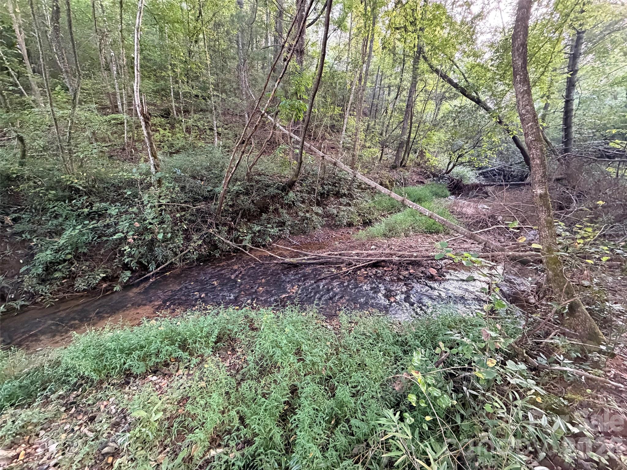 V/l Vein Mountain Road Property Photo 12